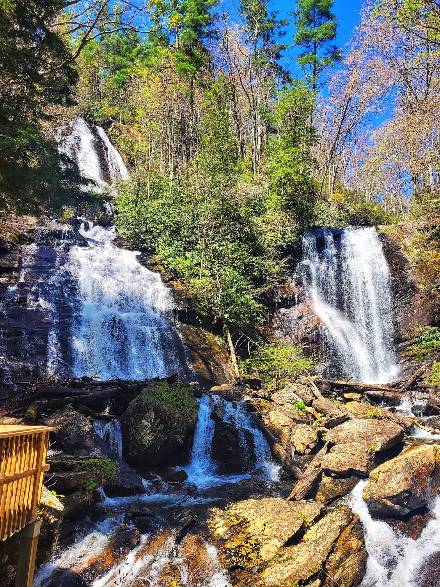 photo of anna ruby falls