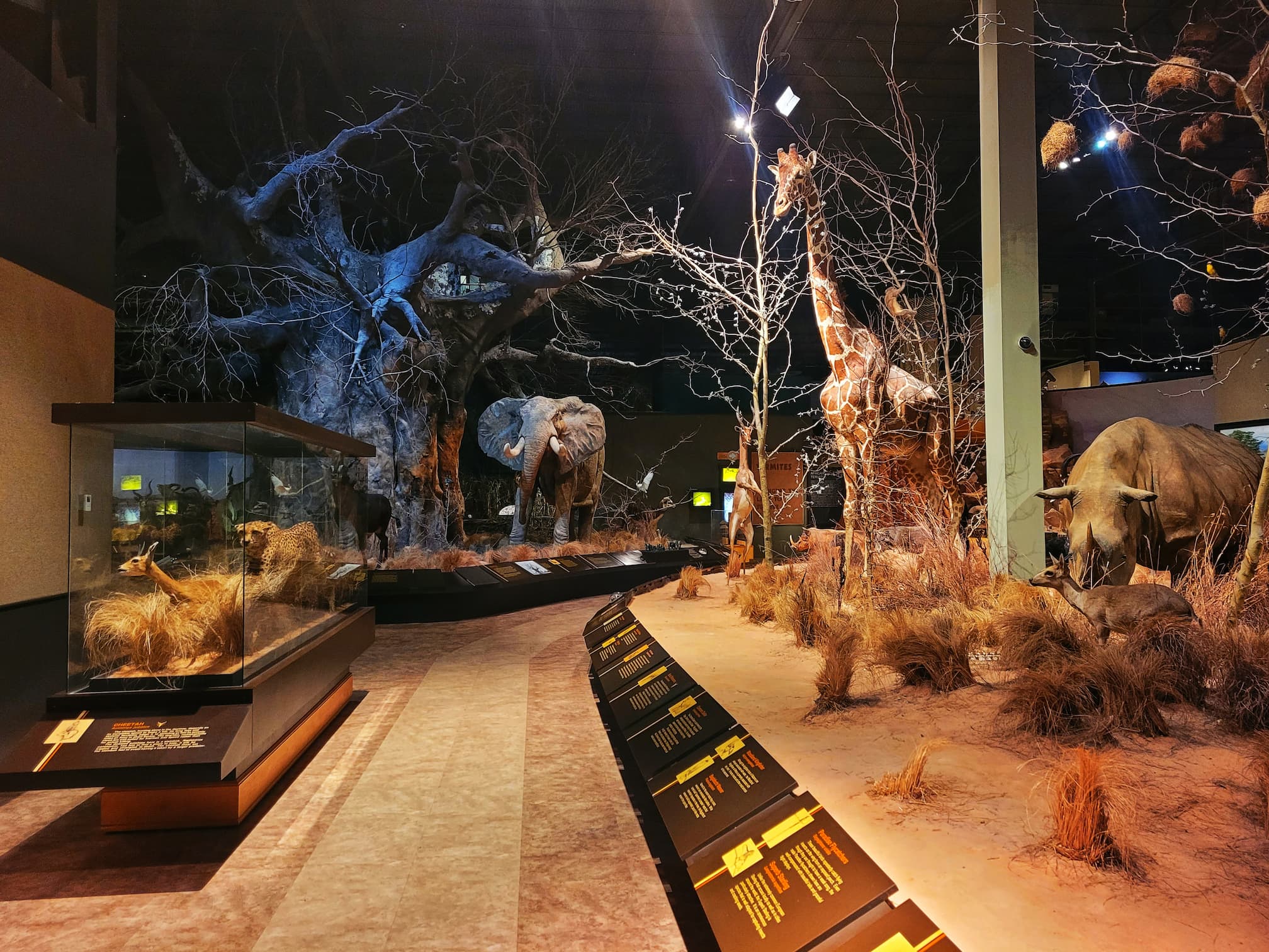 photo of anniston natural history museum africa