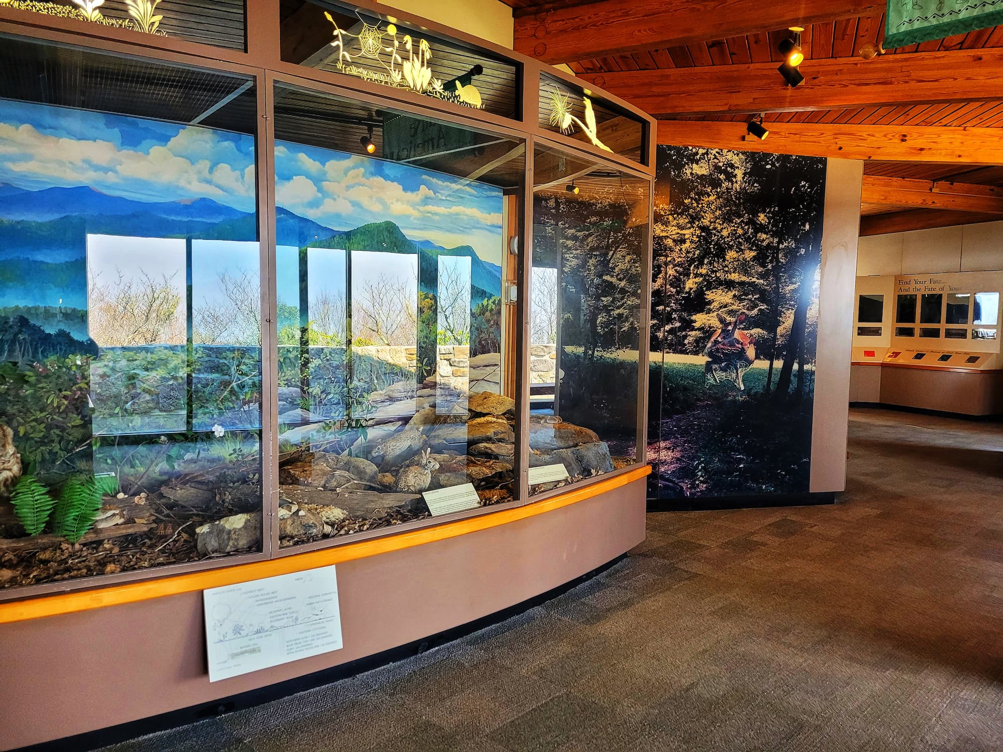 photo of brasstown bald visitor center