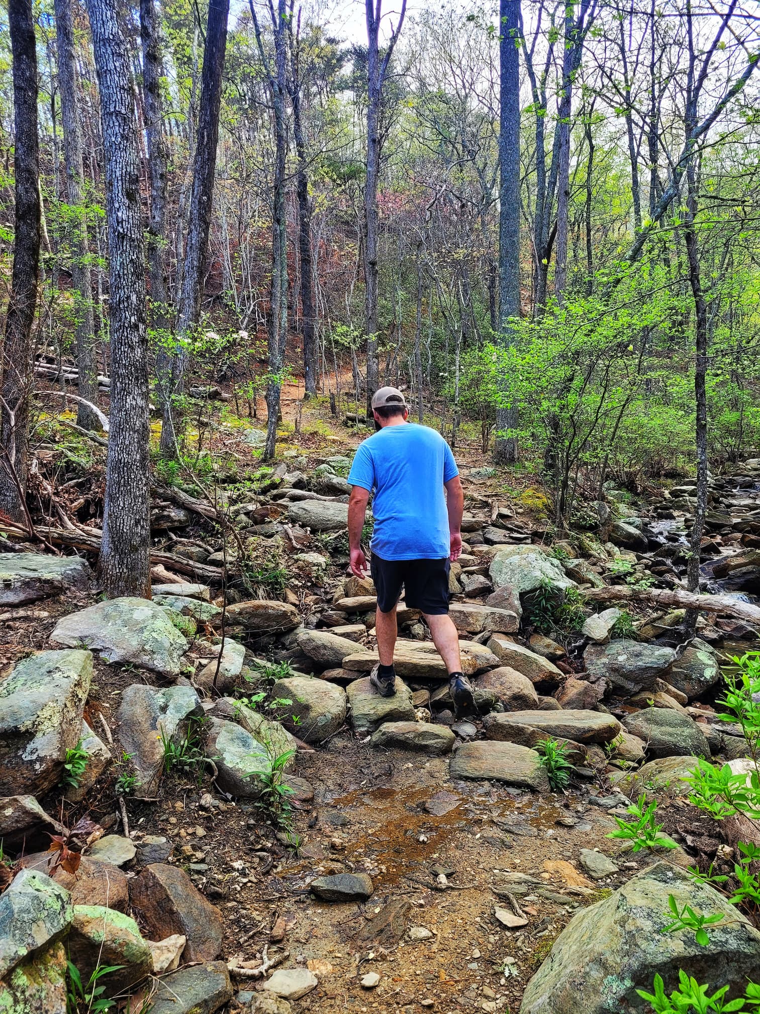 photo of josh hiking cheaha