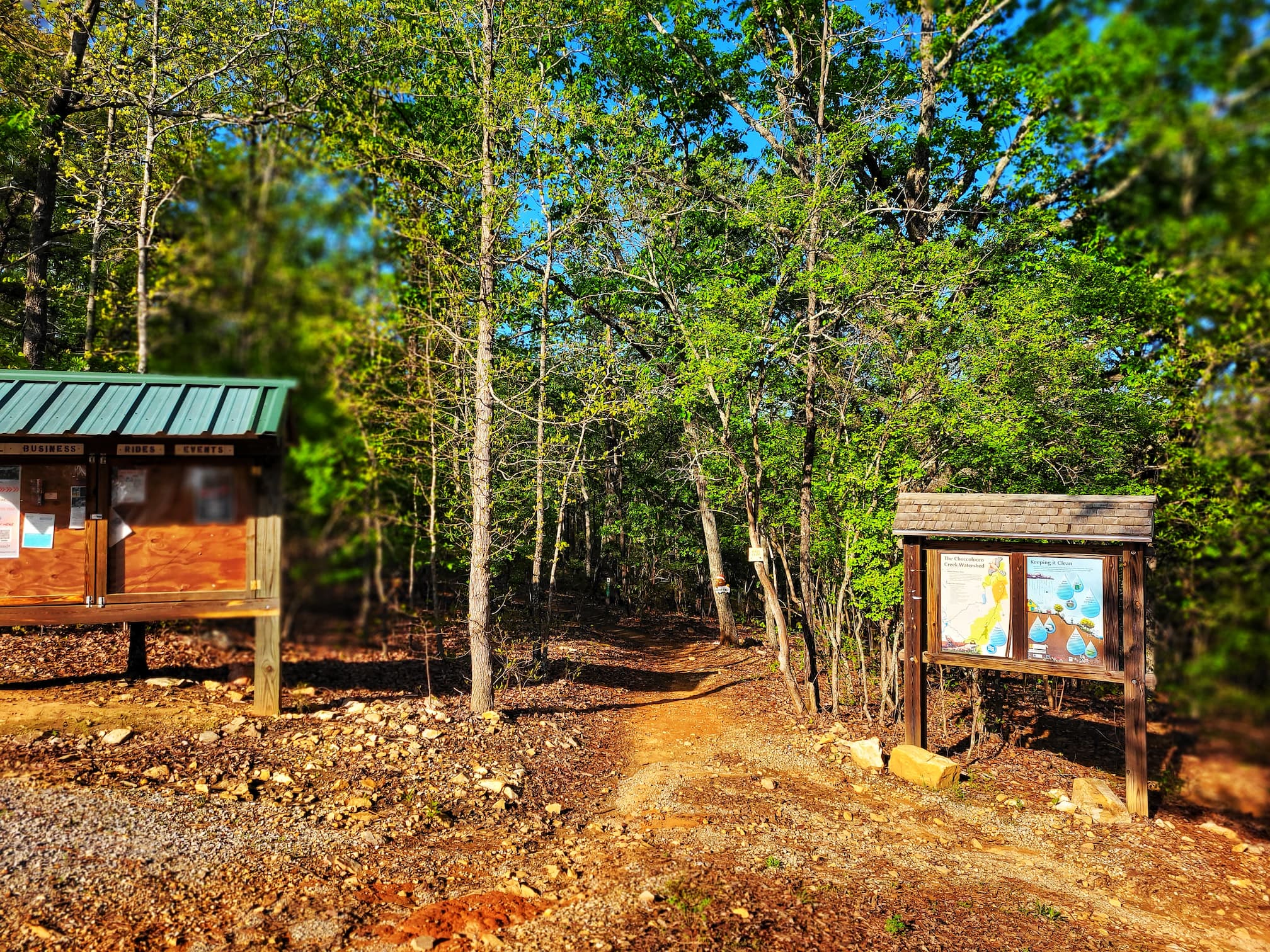 photo of coldwater mountain trailhead