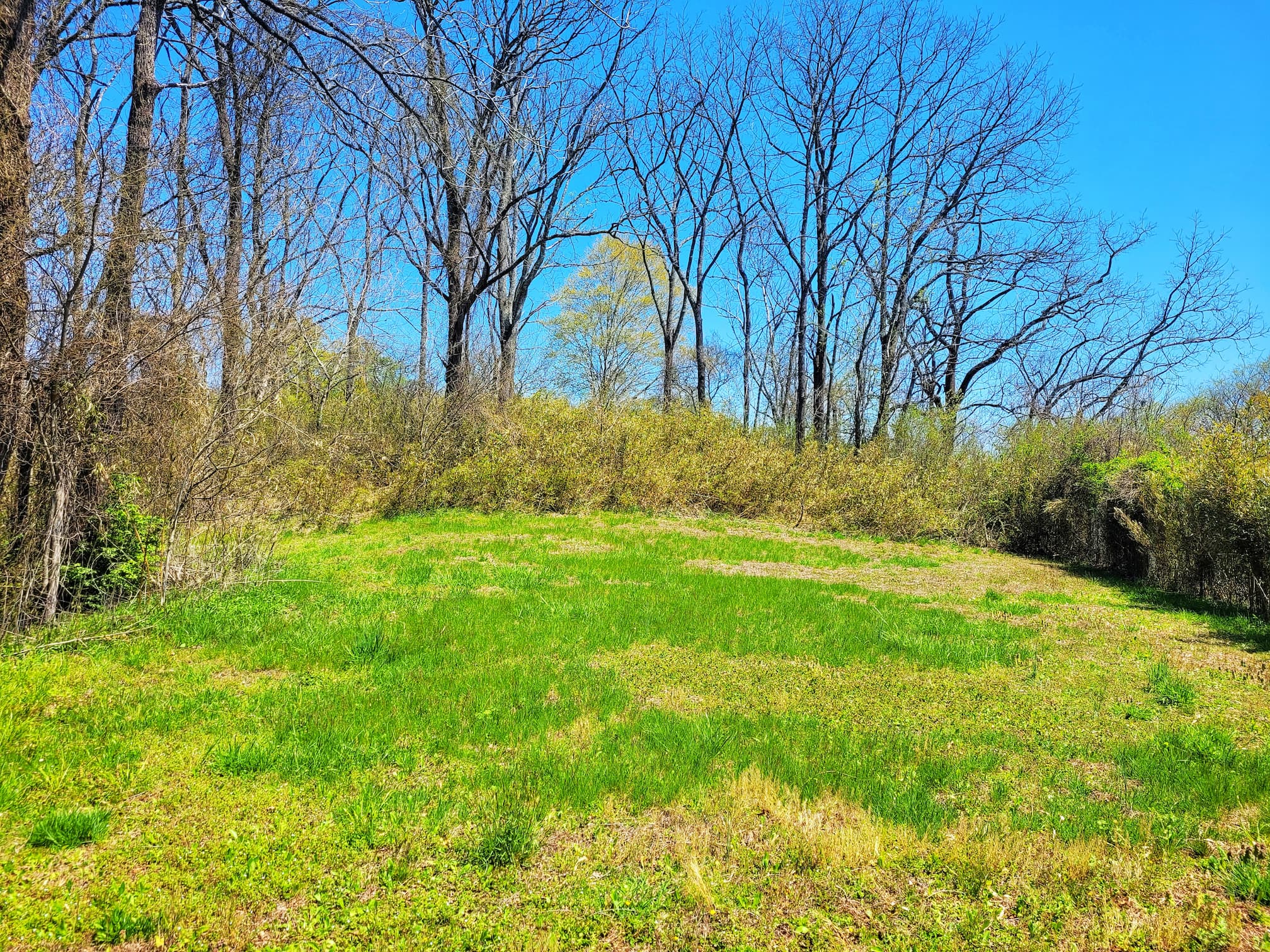 photo of spikebuck town mound site