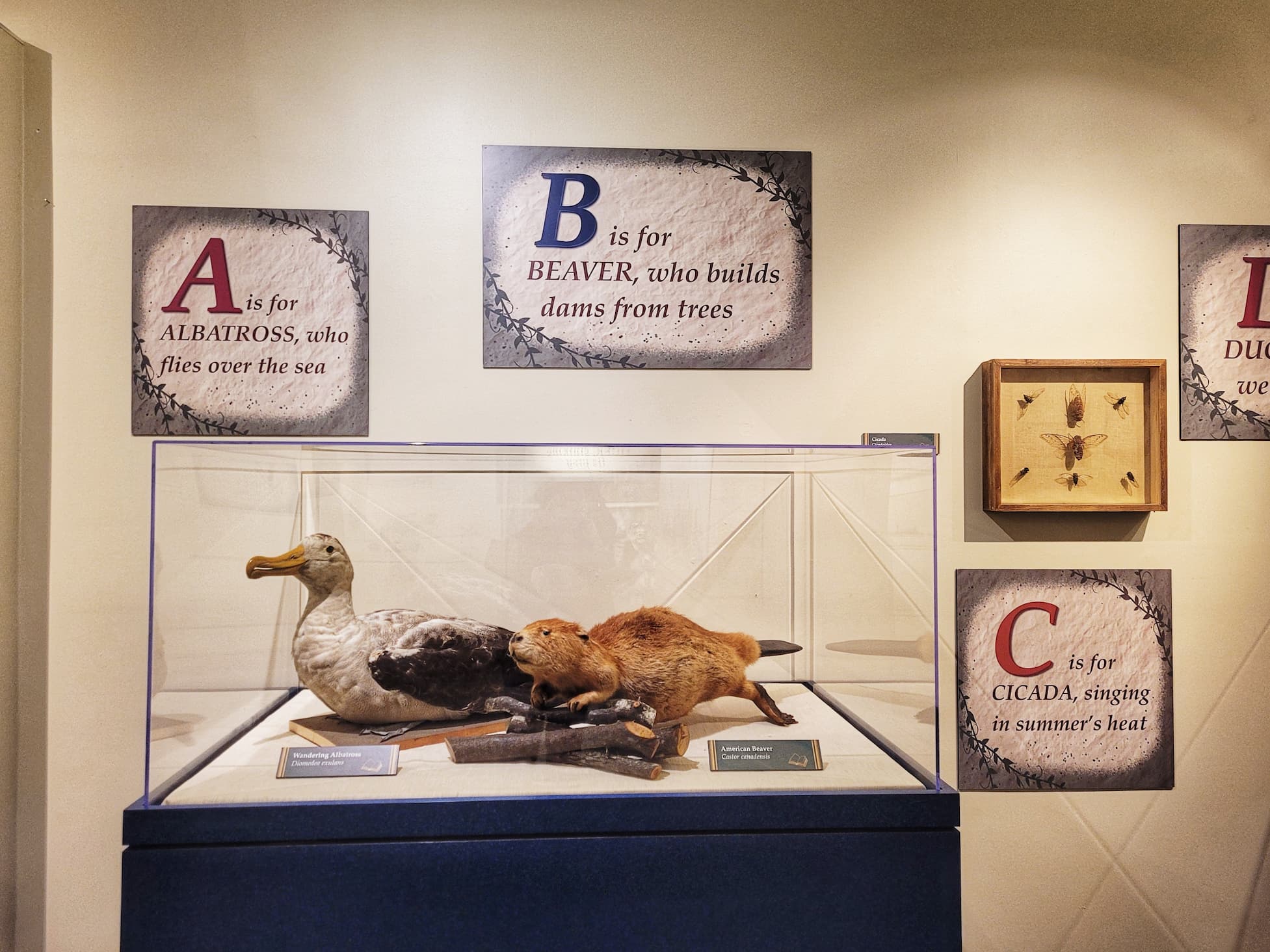 photo of abcs of nature exhibit