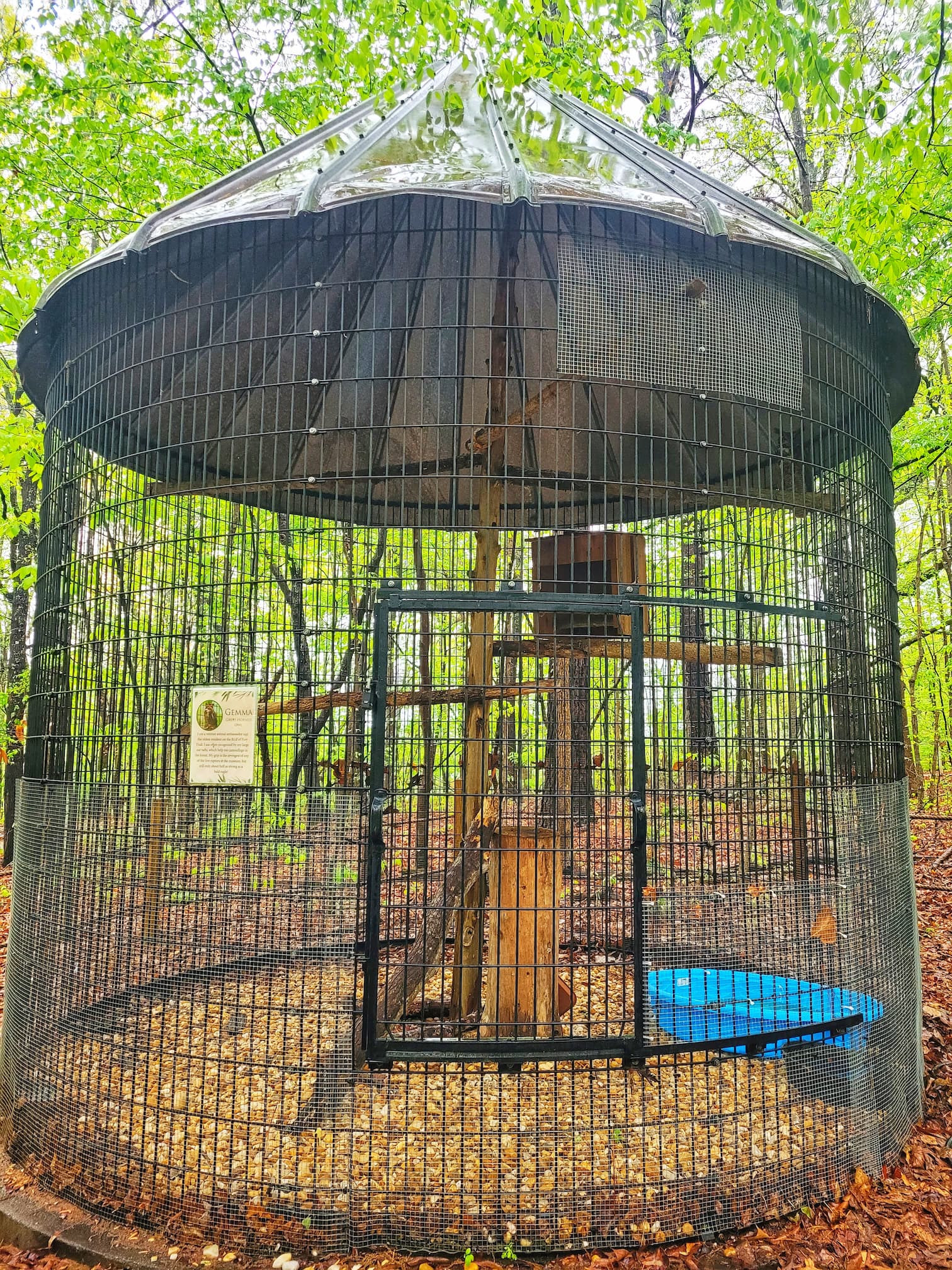 photo of hawk enclosure