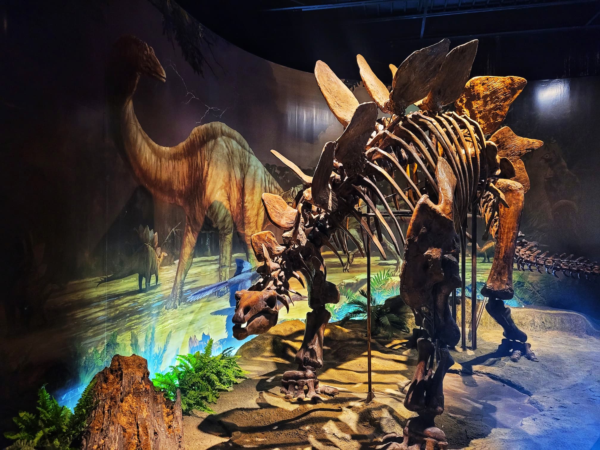 photo of dinosaur skeleton at anniston museums
