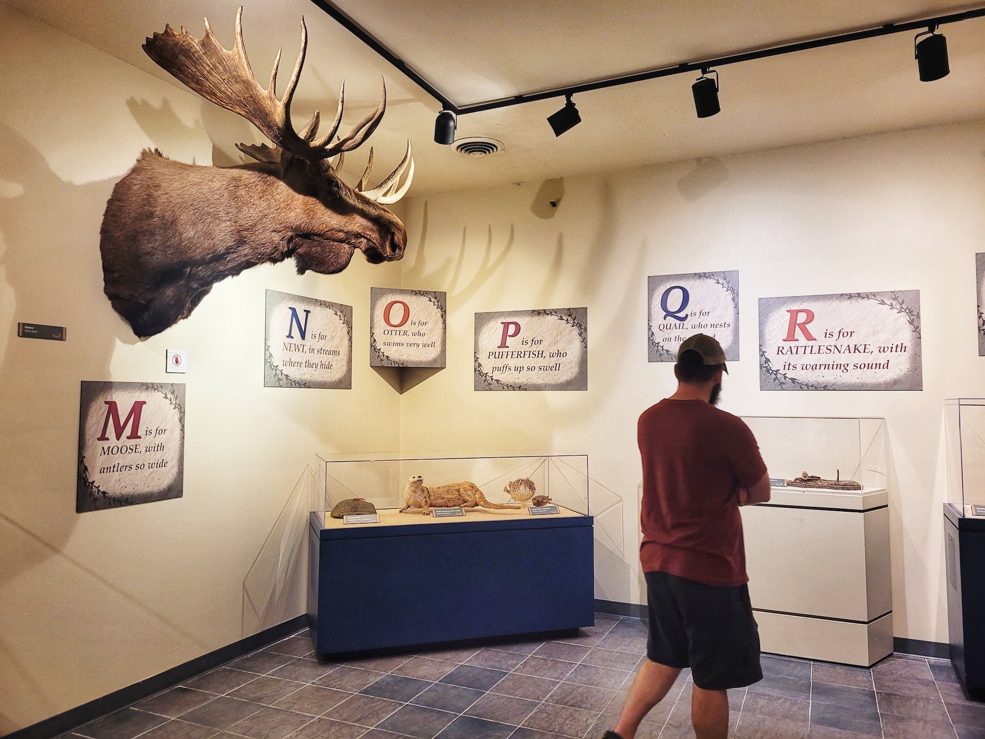 photo of josh at anniston museums