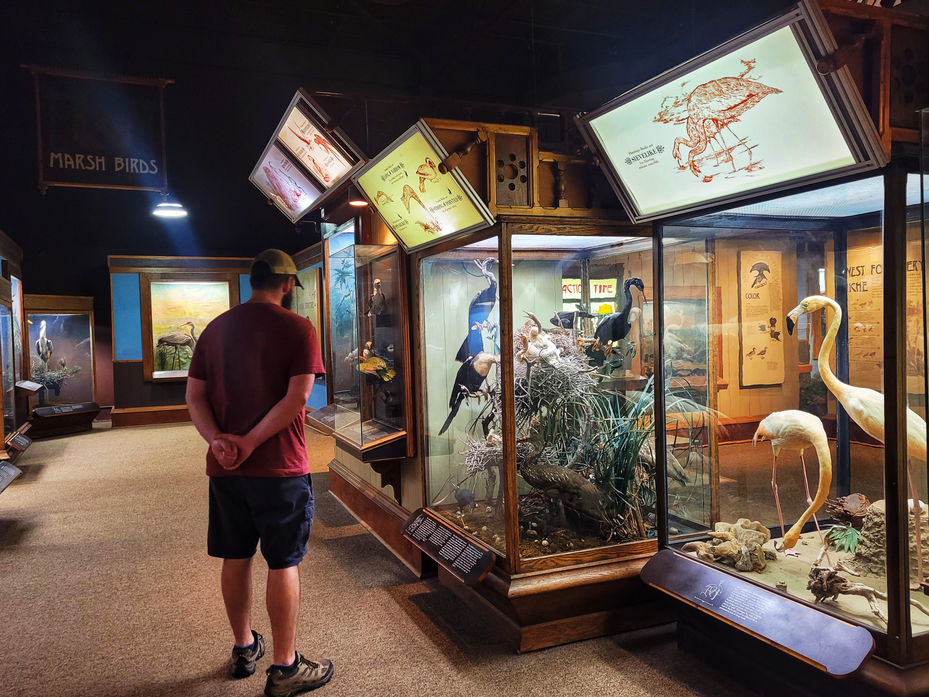 photo of josh at anniston museum of natural history