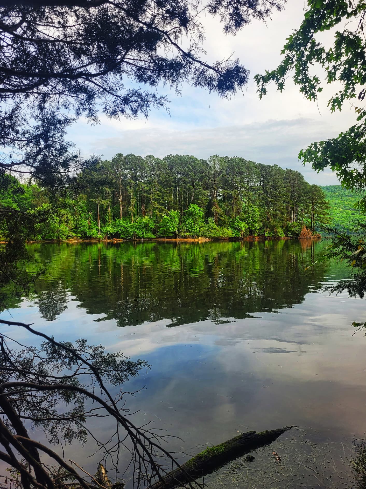 photo of nickajack reservoir