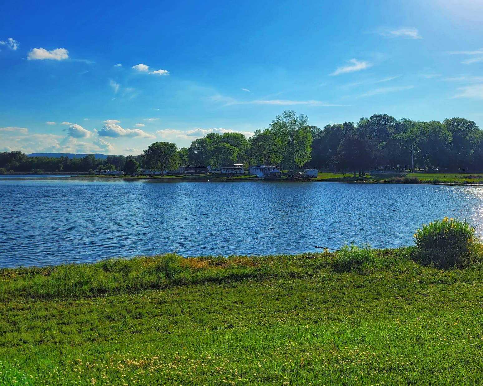 photo of marion county park on the tennessee river