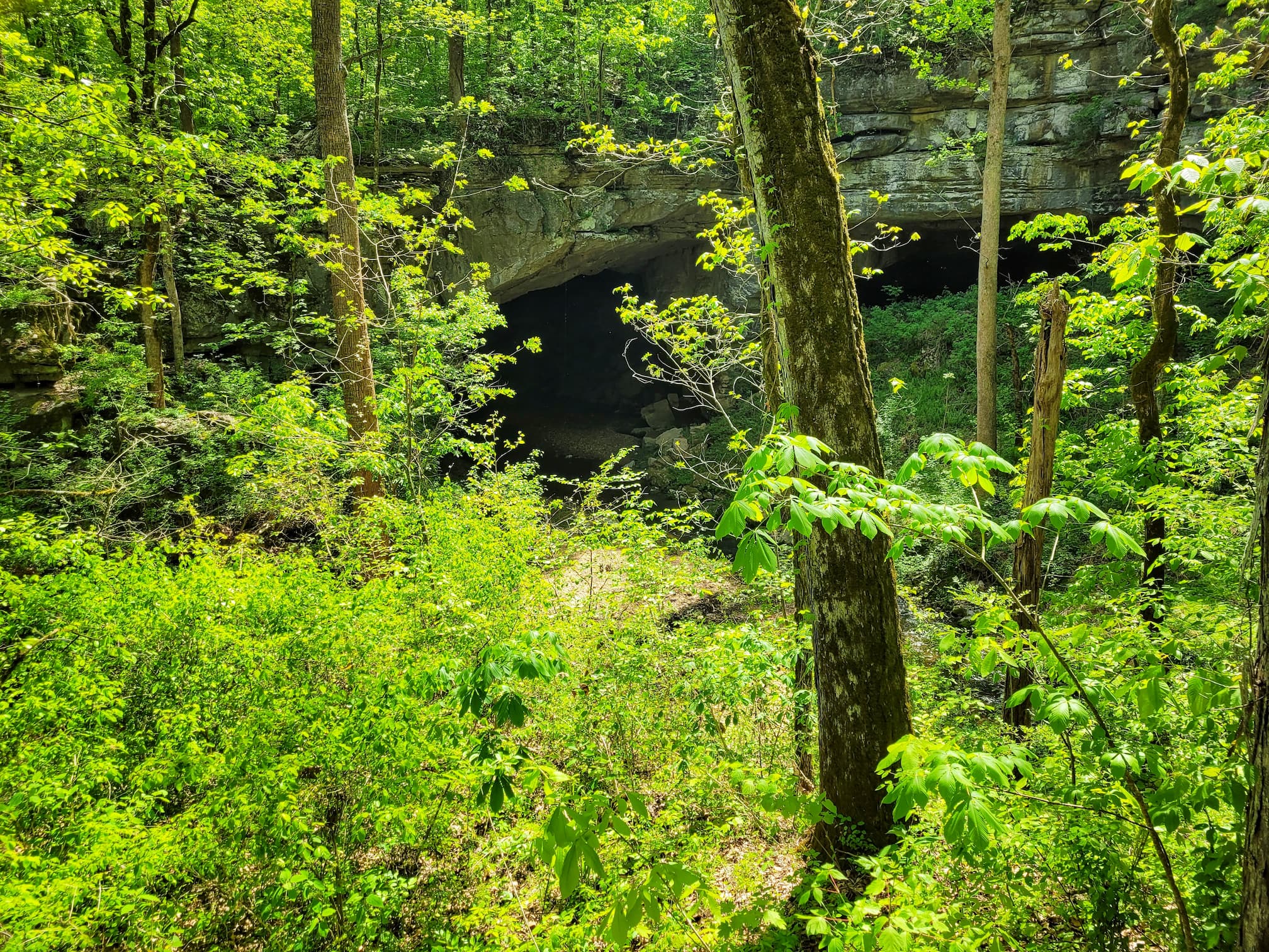 photo of russell cave national monument