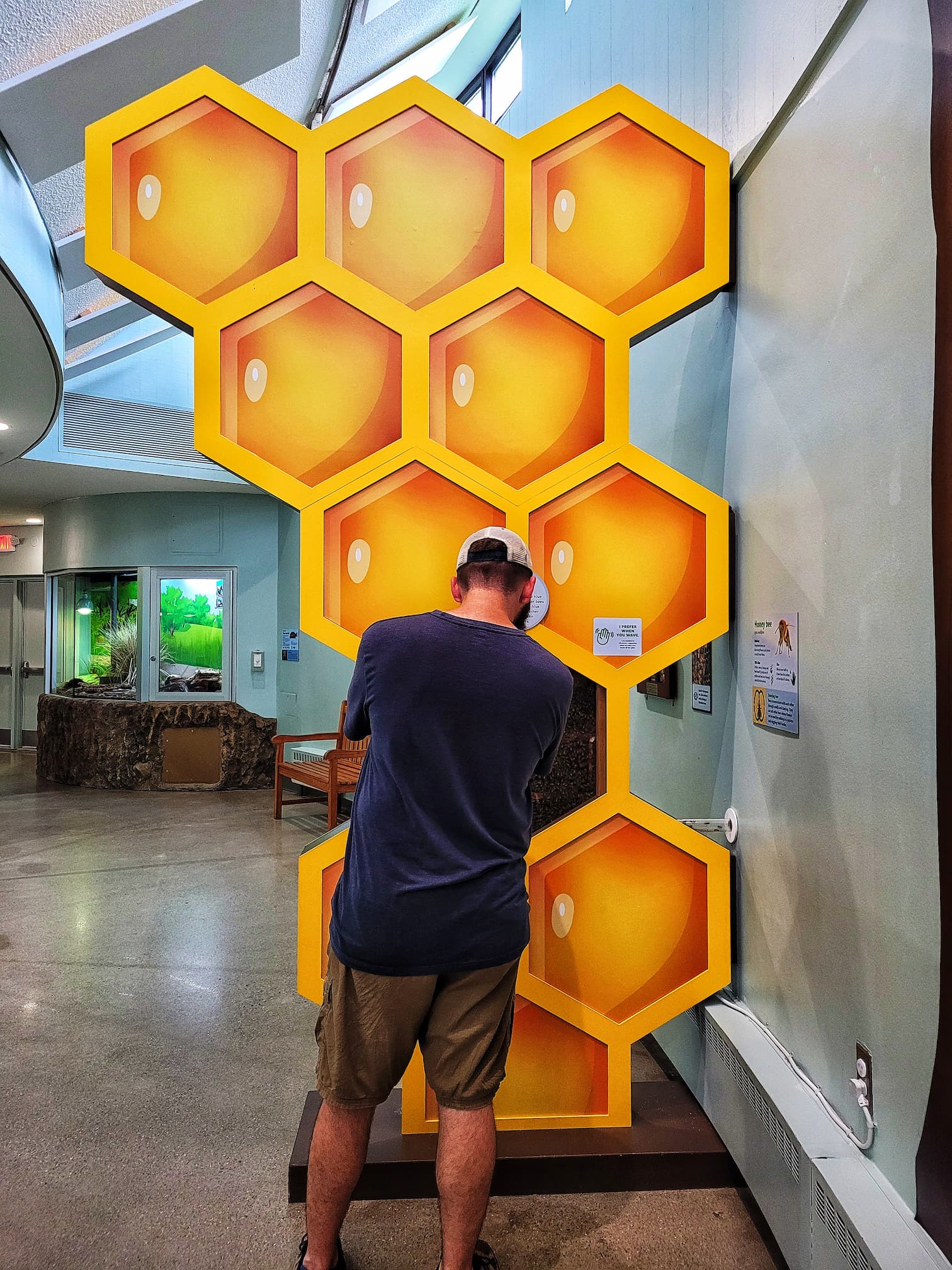 photo of belle isle nature center