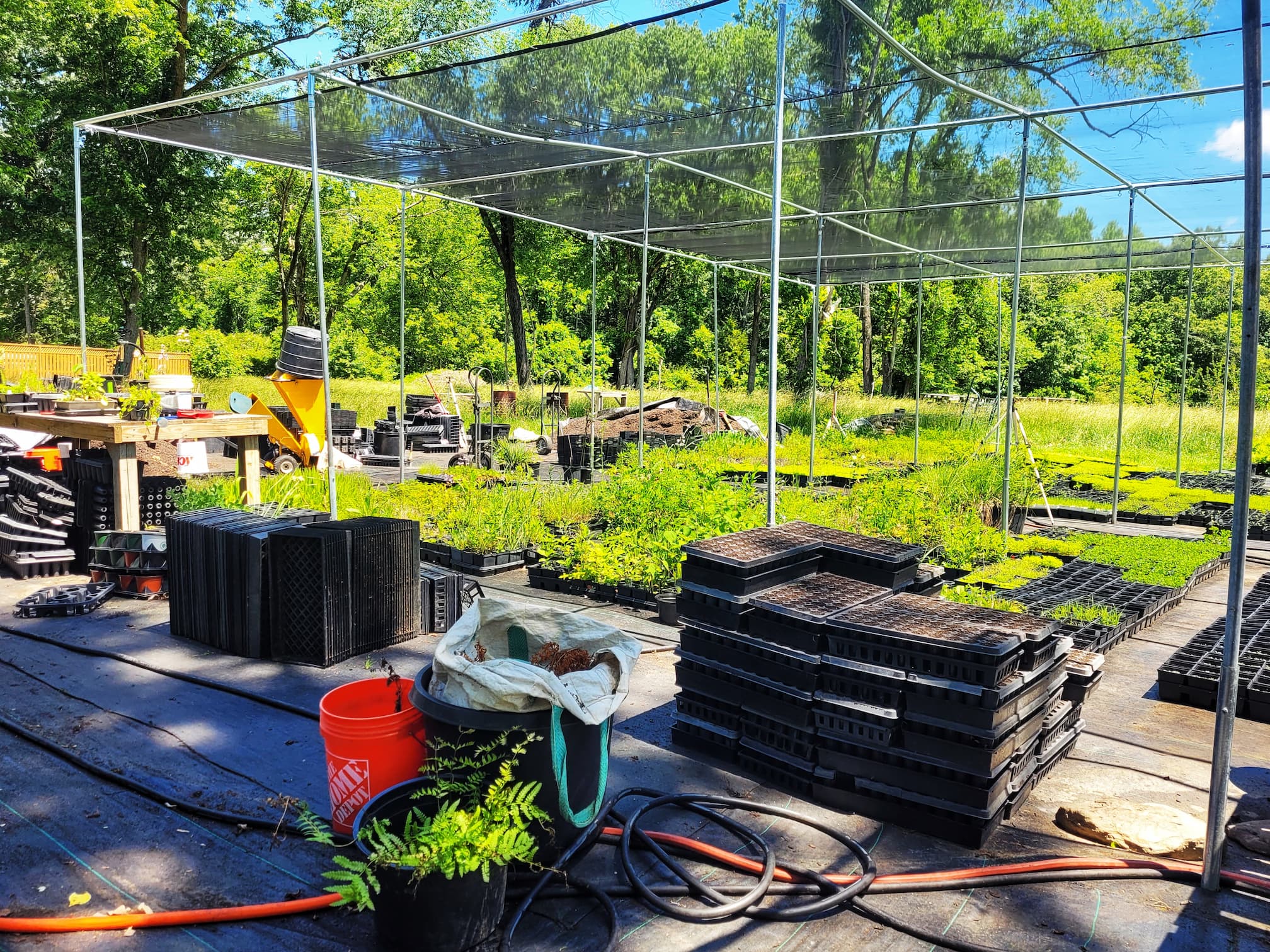 photo of bona terra nursery