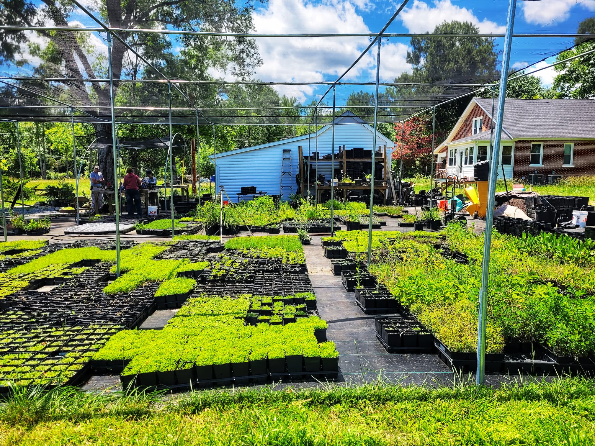 photo of bona terra nursery