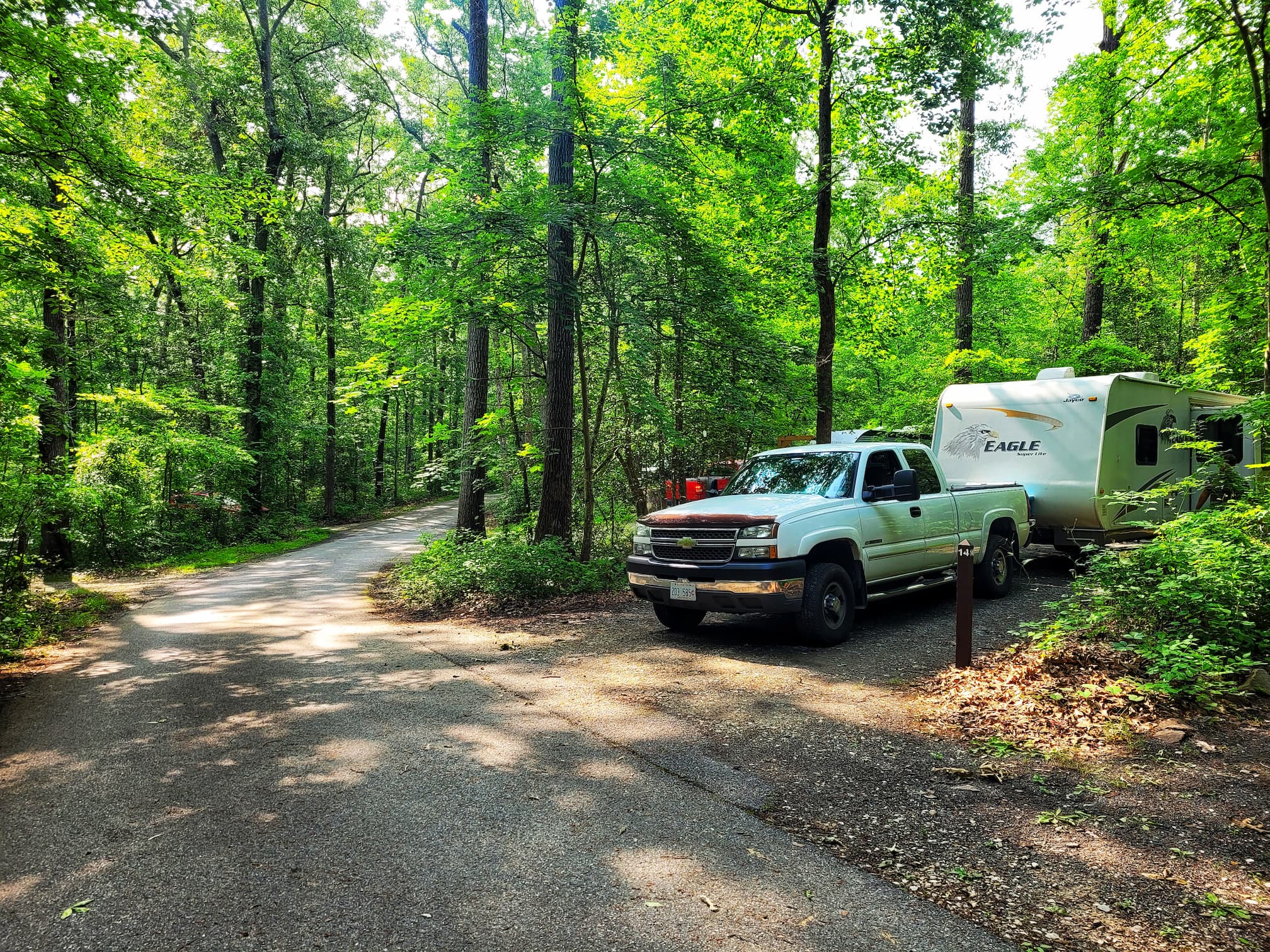 Is Cedarville State Forest a Good Campground? Our Honest Review