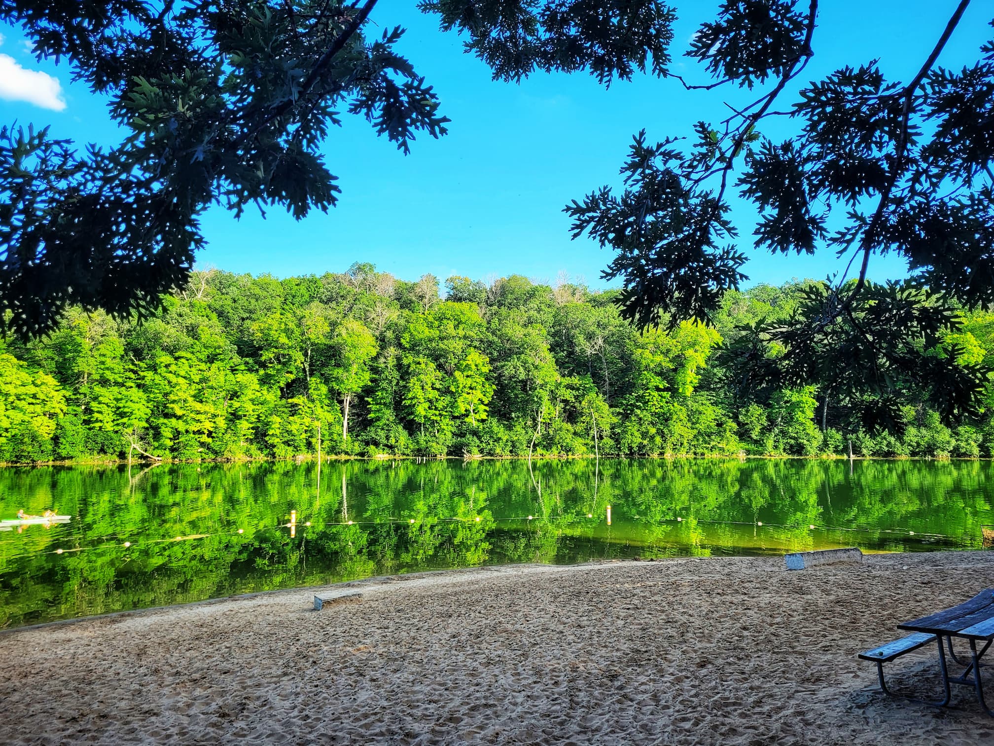 photo of chester woods beach