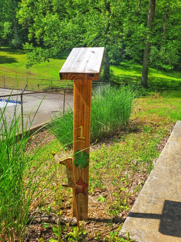 photo of fayette county park disc golf
