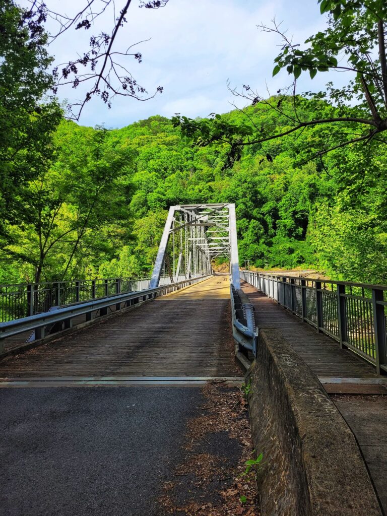 photo of tunney hunsaker bridge