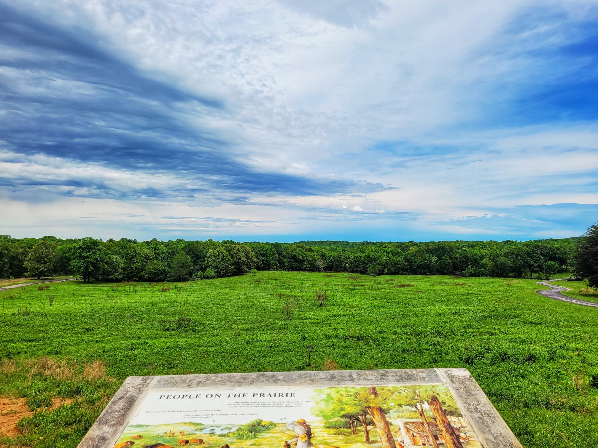 photo of land between the lakes elk and bison prairie