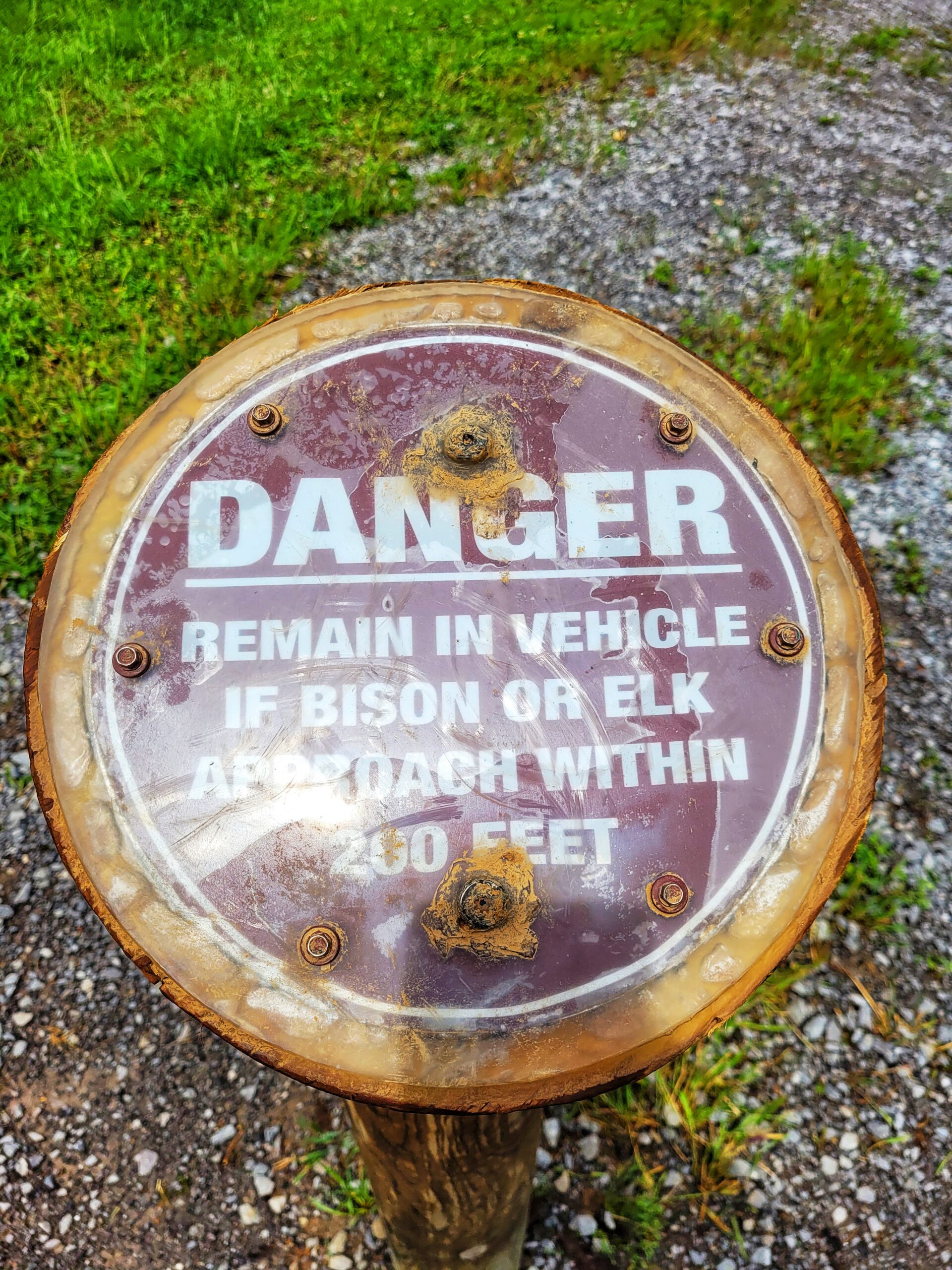 photo of elk and bison prairie sign