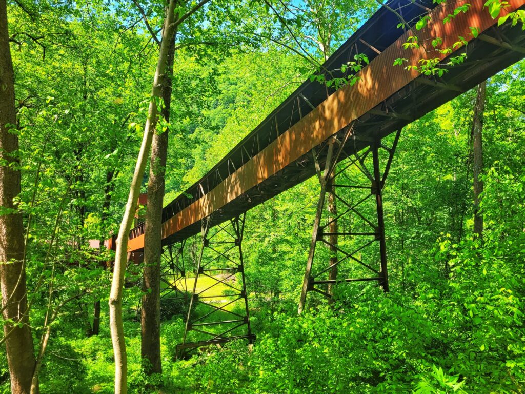 photo of nuttalburg trails in new river gorge national park