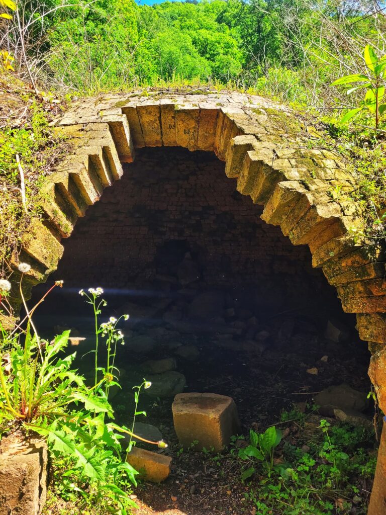 photo of nuttalburg trails in new river gorge national park