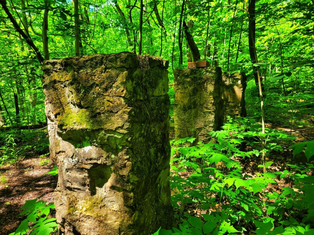 photo of nuttalburg trails in new river gorge national park
