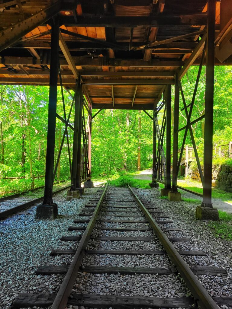 photo of nuttalburg trails in new river gorge national park