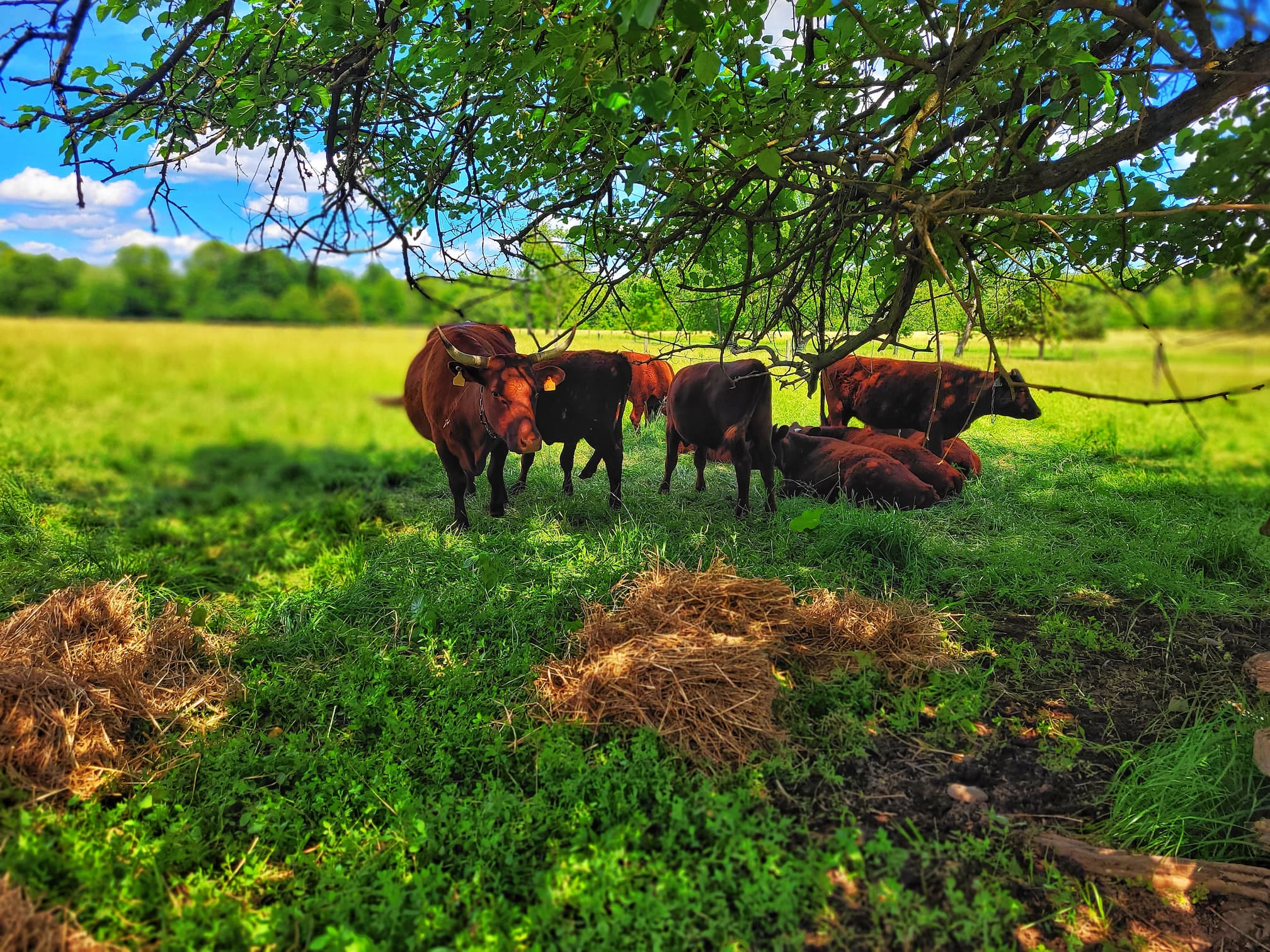 photo of piscataway park