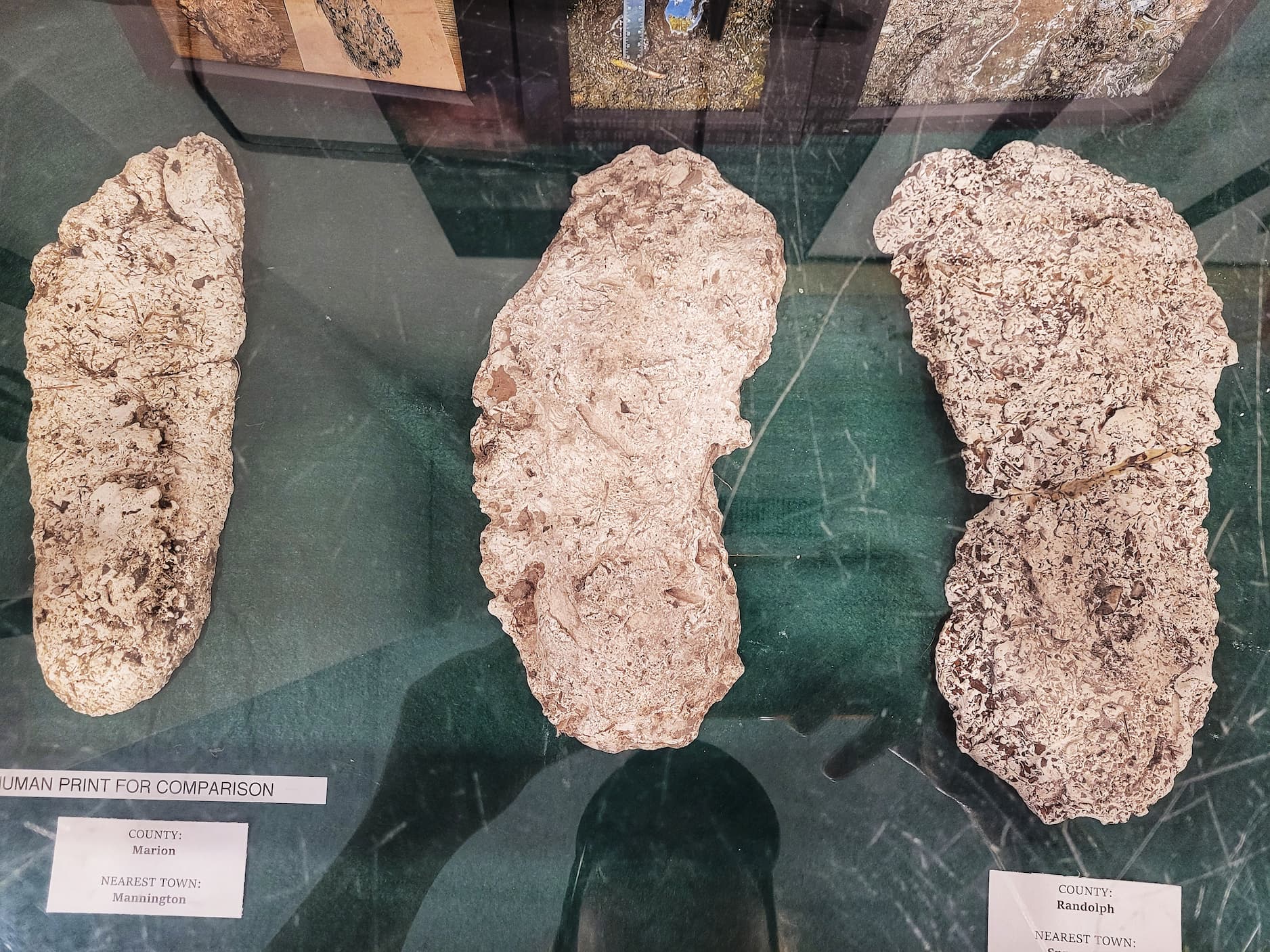 photo of west virginia bigfoot museum