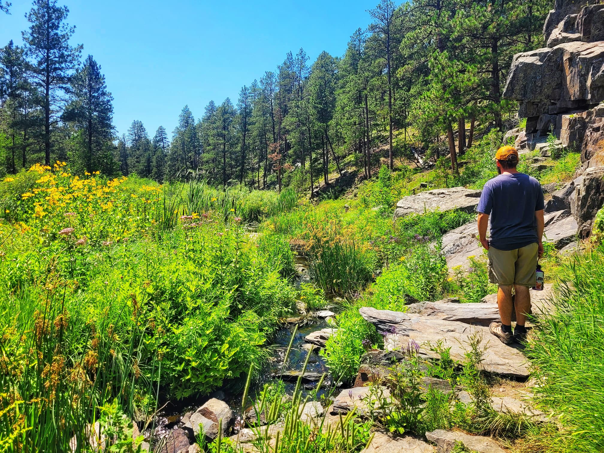photo of flume trail