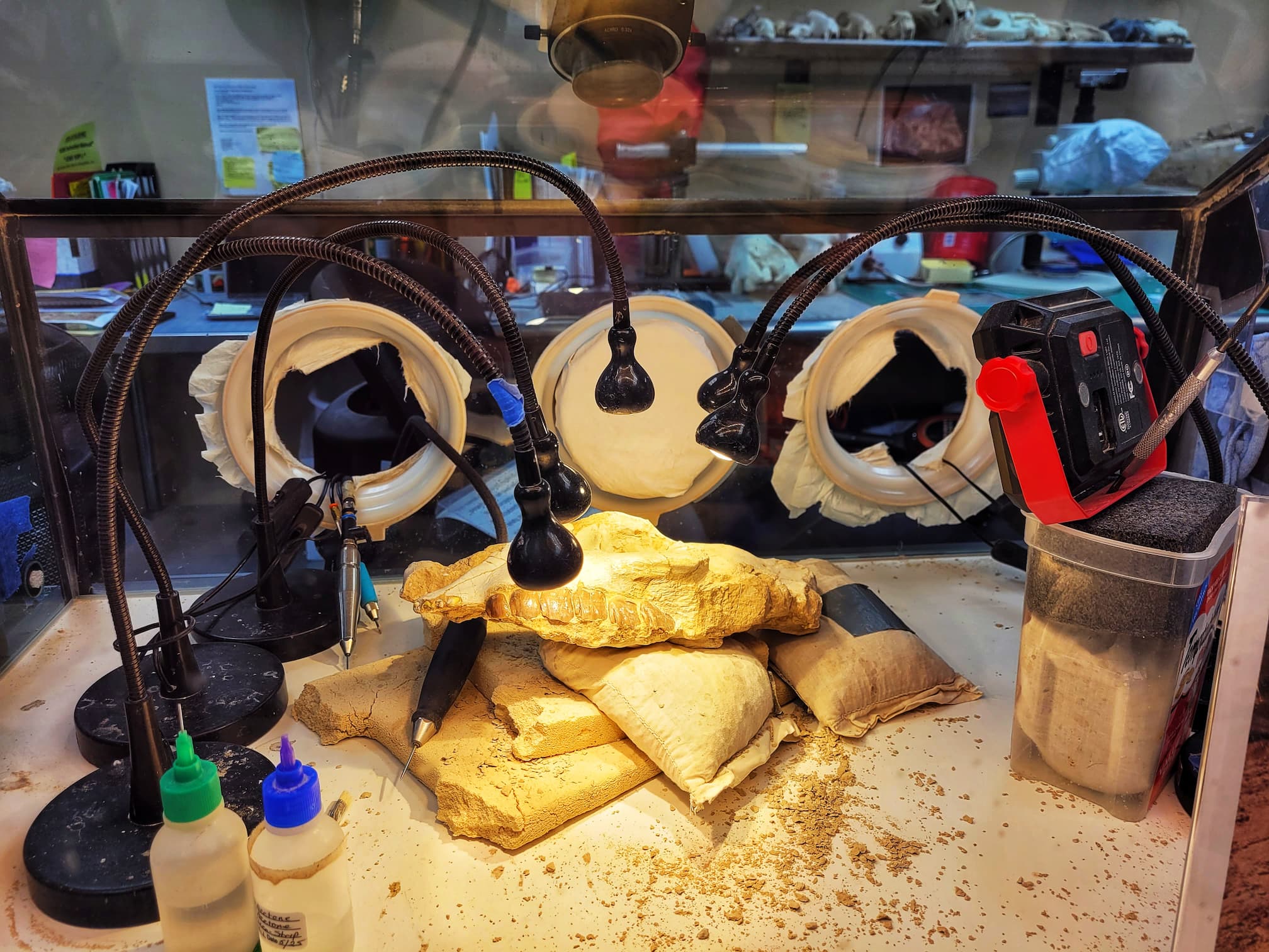 photo of badlands national park fossil lab
