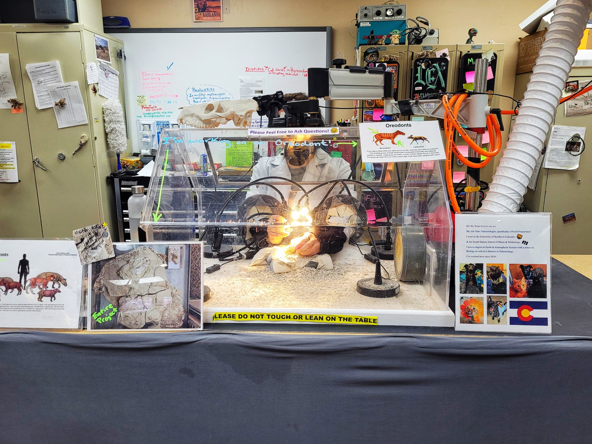 photo of badlands national park fossil lab