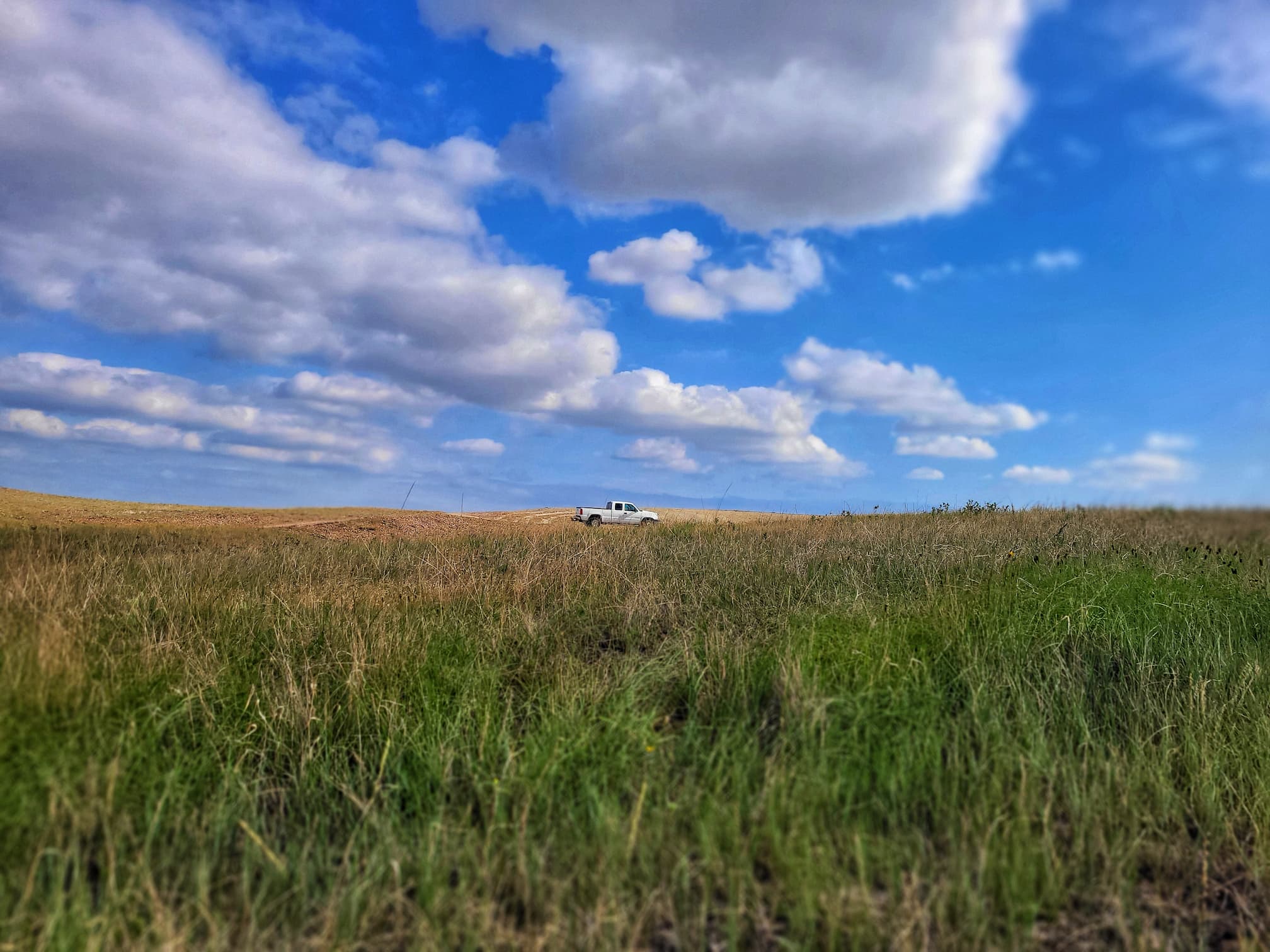 photo of buffalo gap national grassland