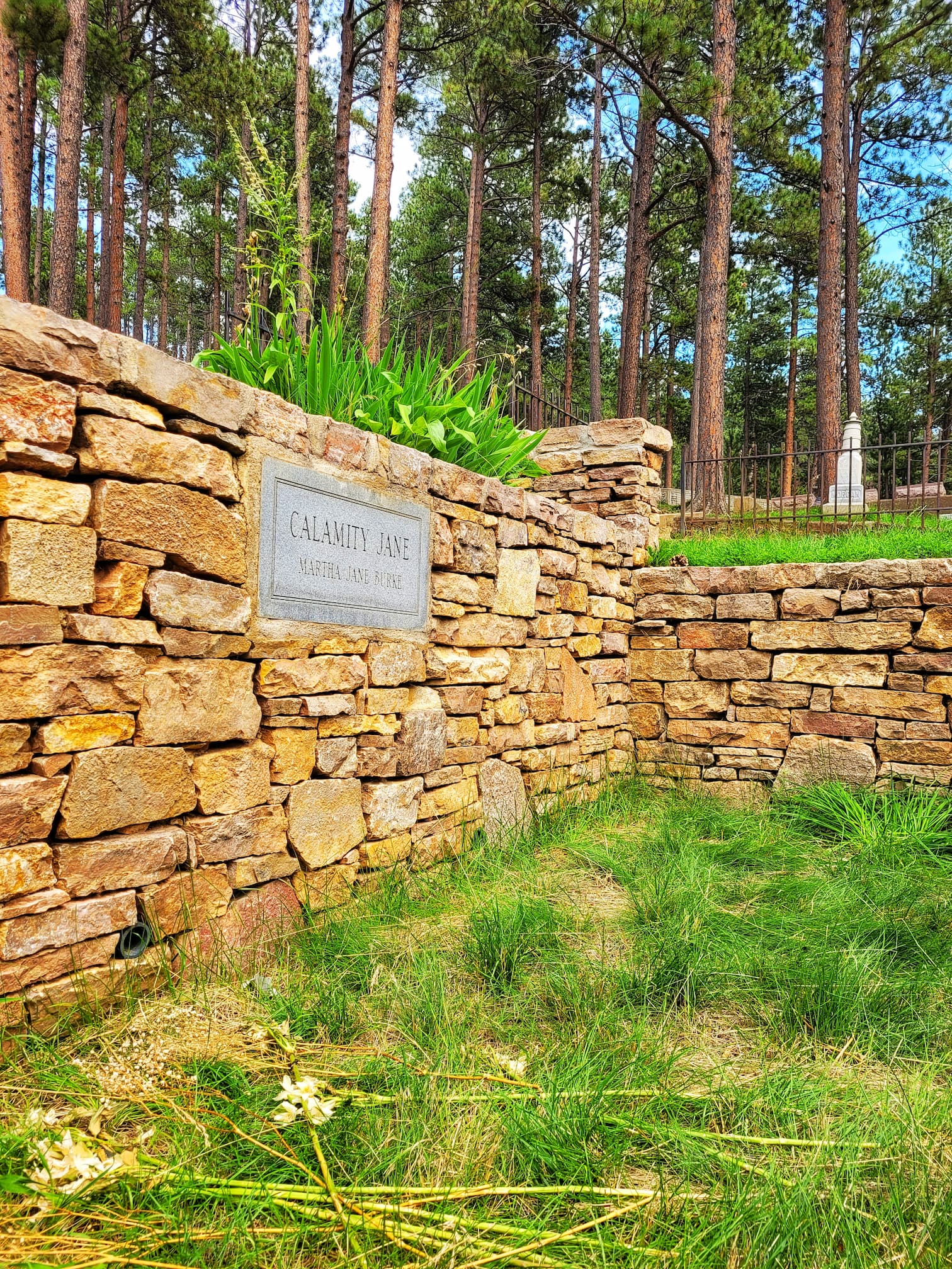 photo of calamity jane grave
