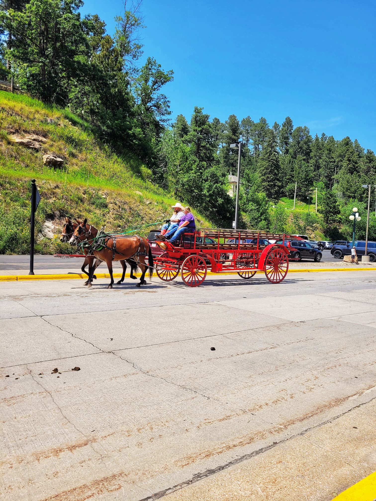 photo of deadwood days of 76 parade