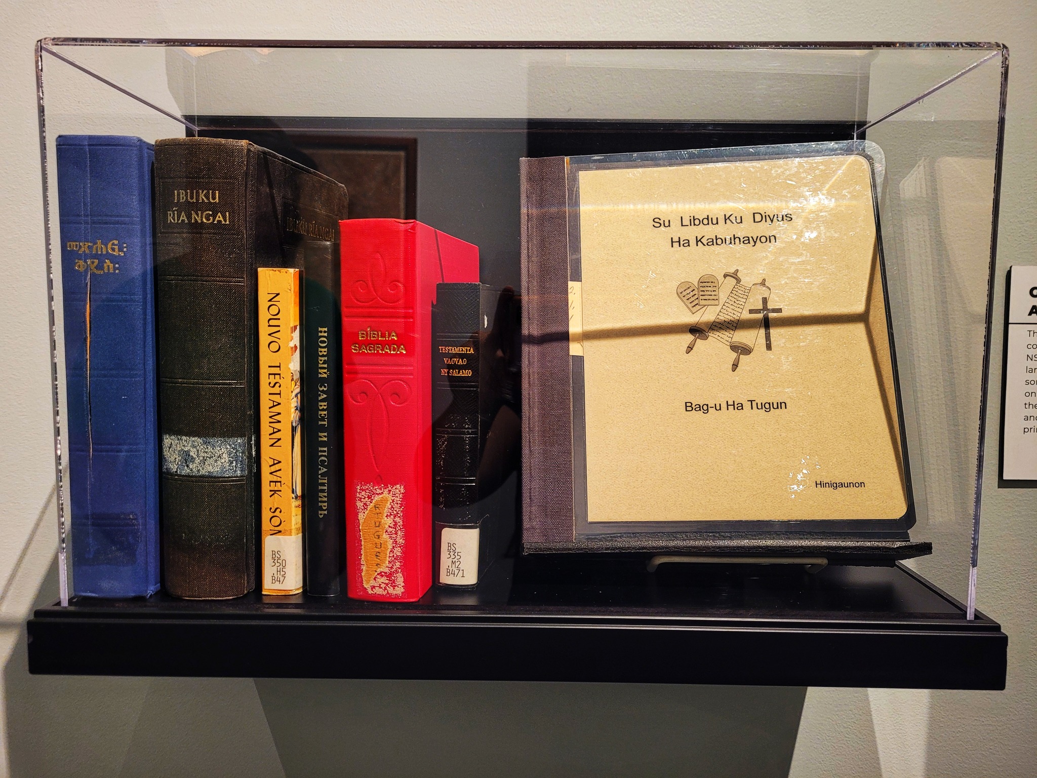 photo of foreign language books