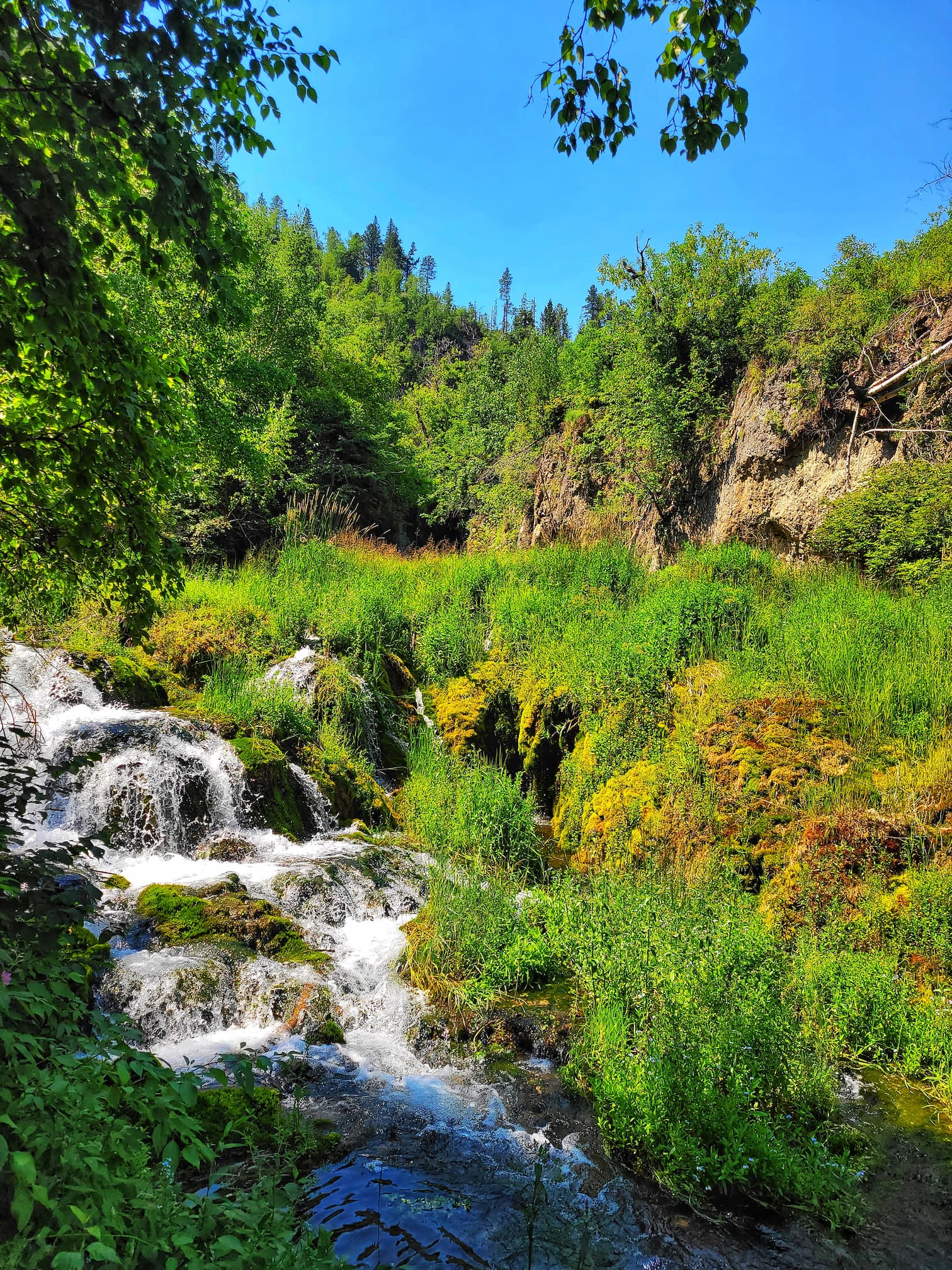photo of spearfish canyon