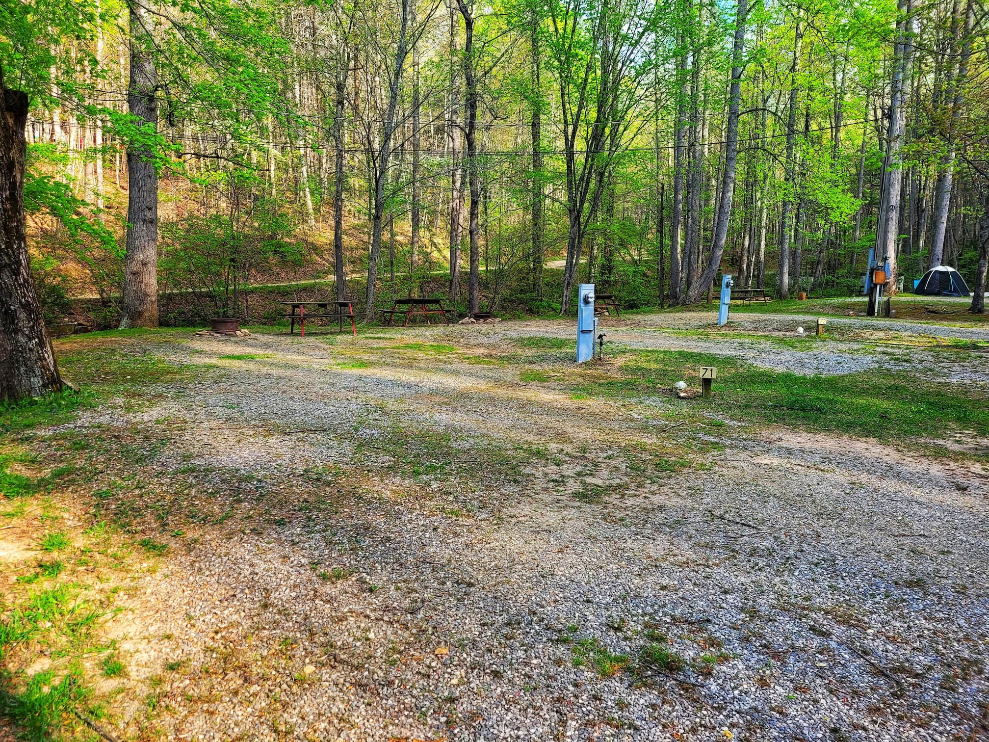 photo of empty tent sites