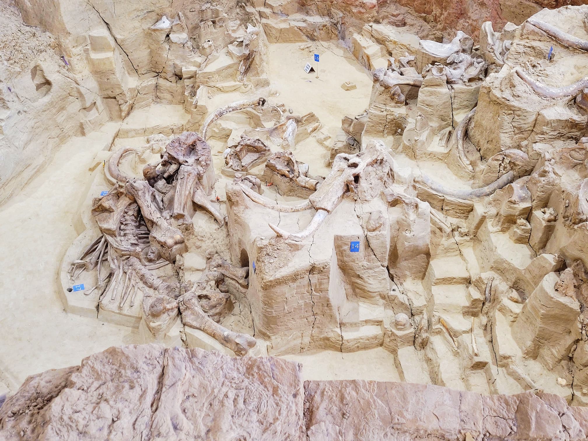 photo of the mammoth site