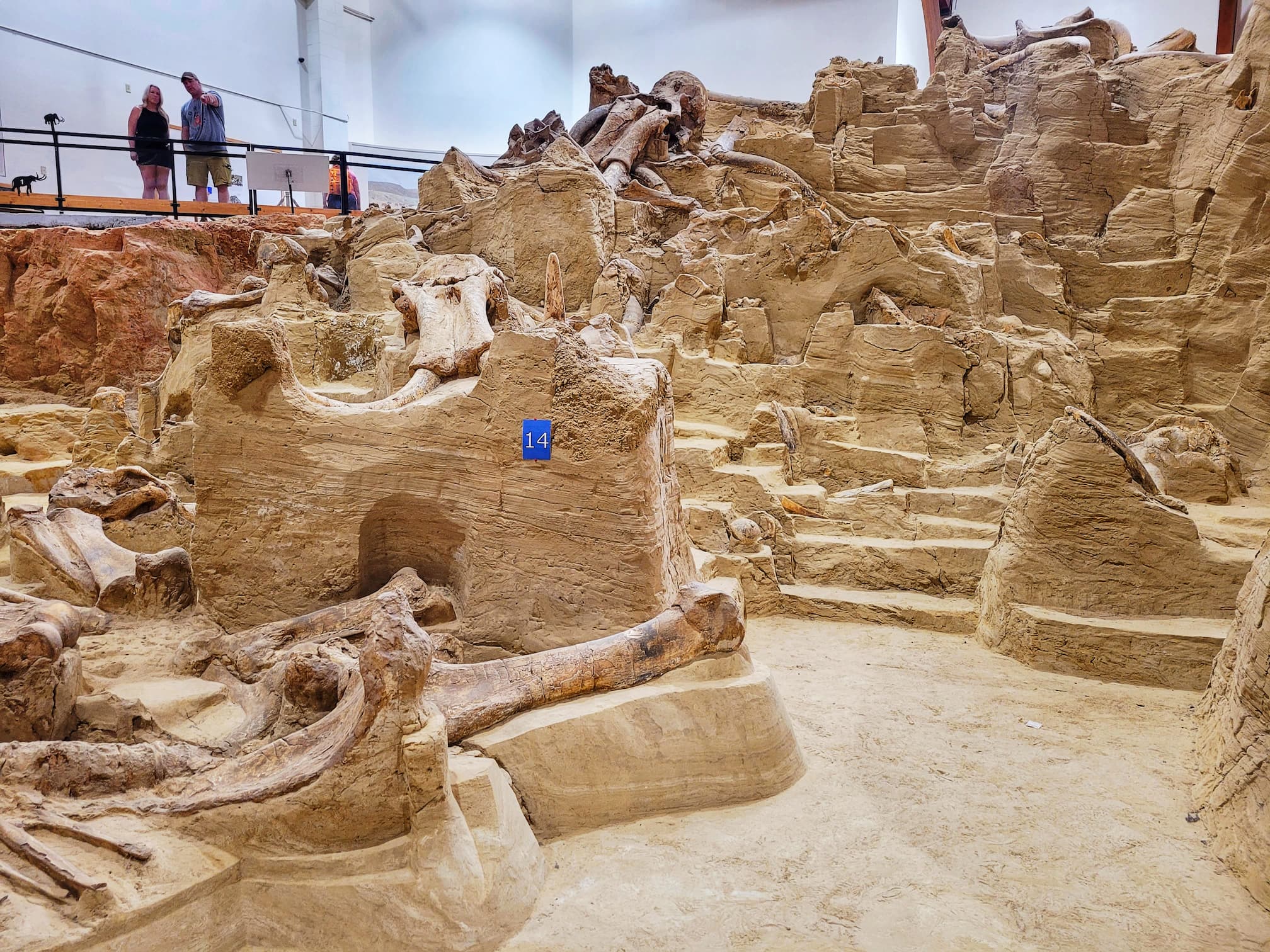 photo of  mammoth site