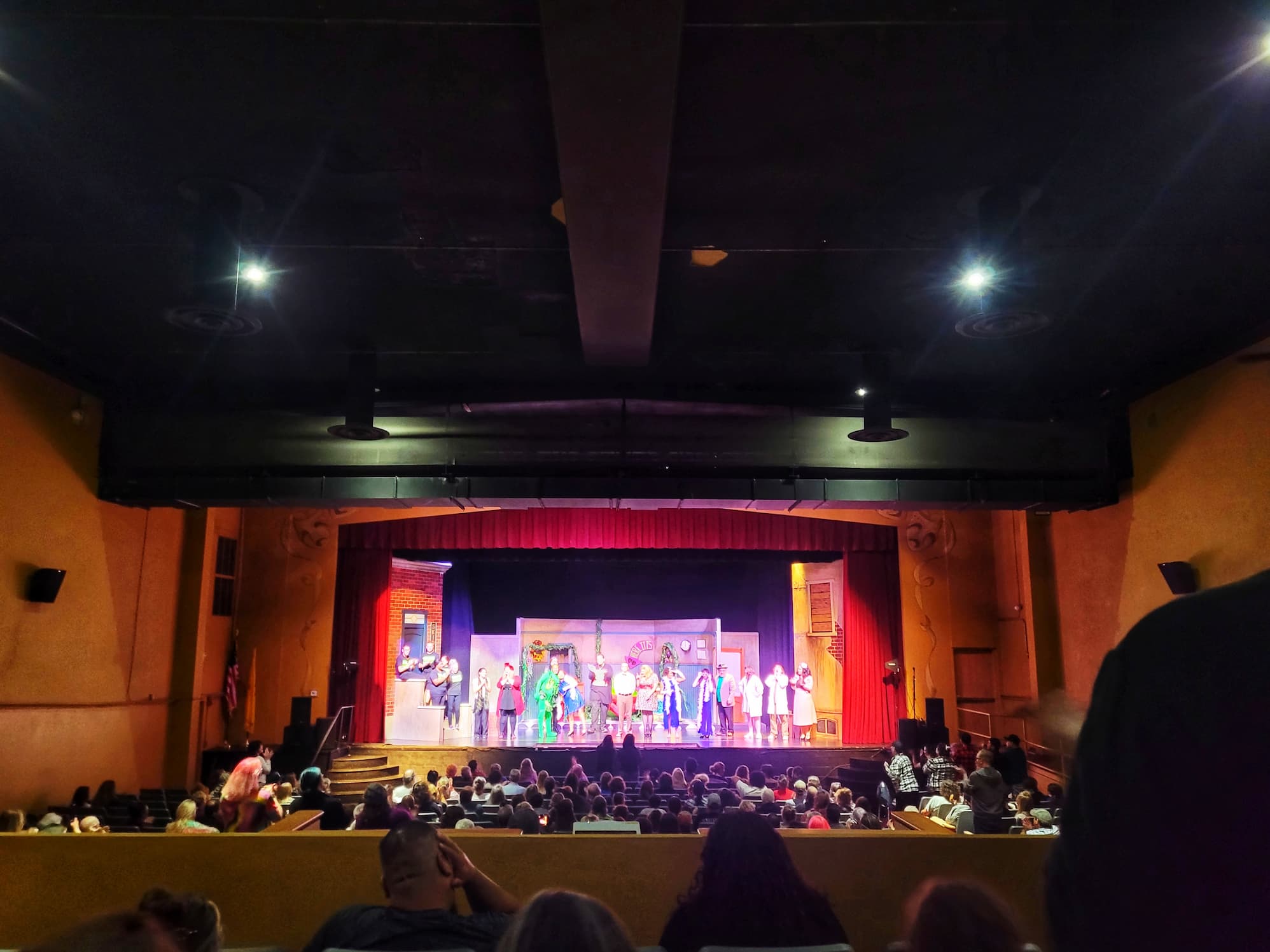 photo of little shop of horrors play