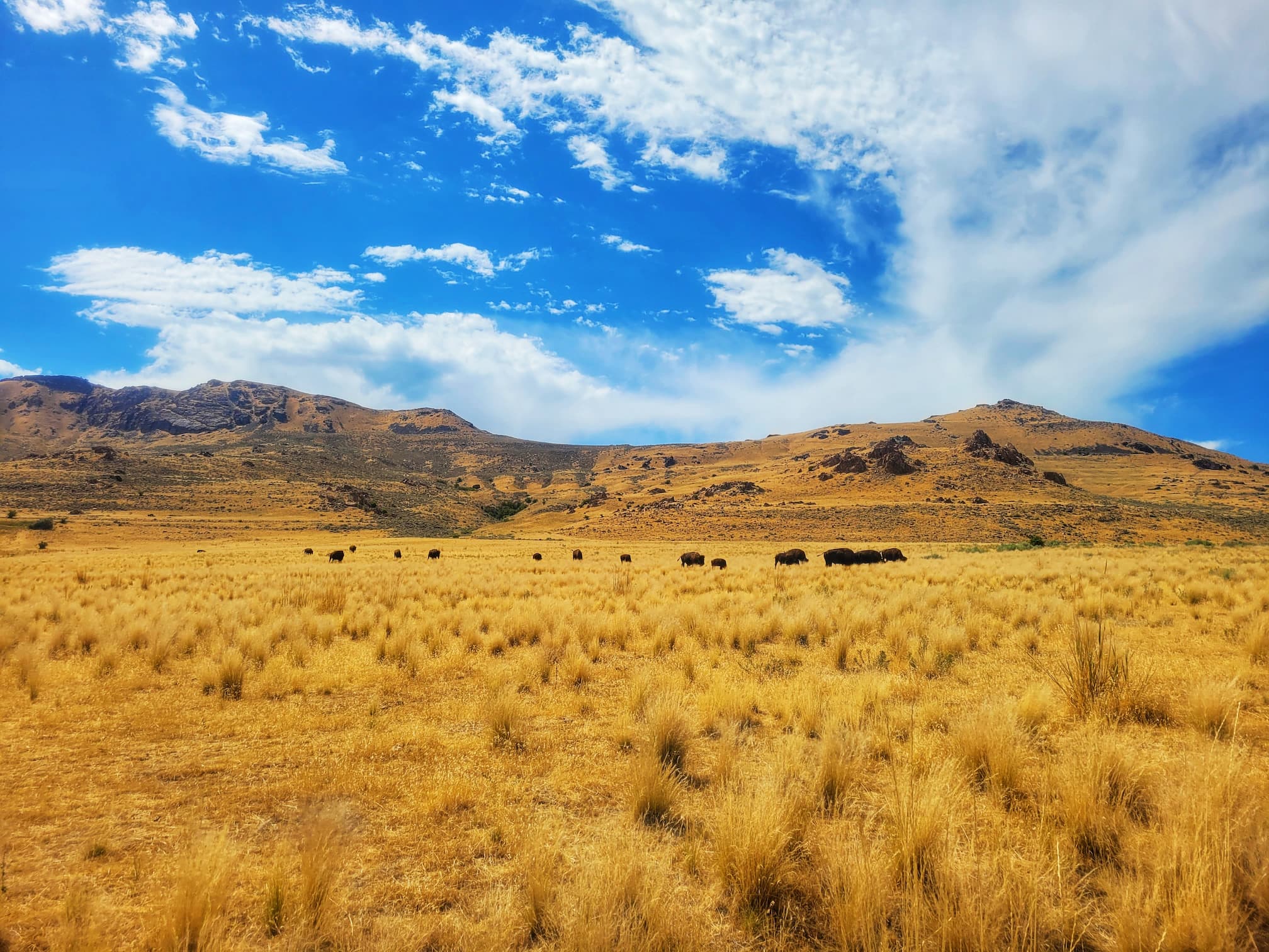 photo of antelope island