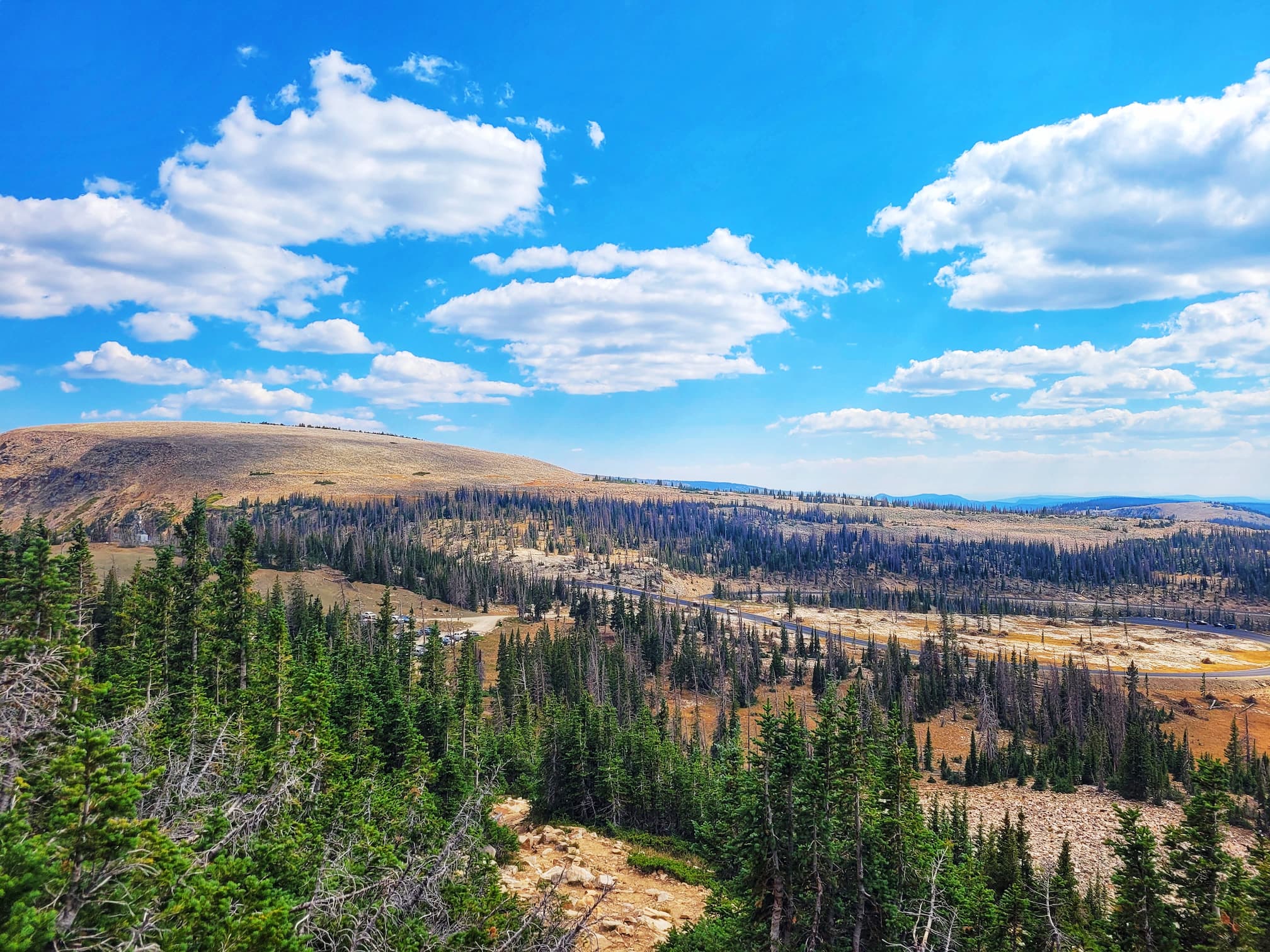 photo of view from bald mountain