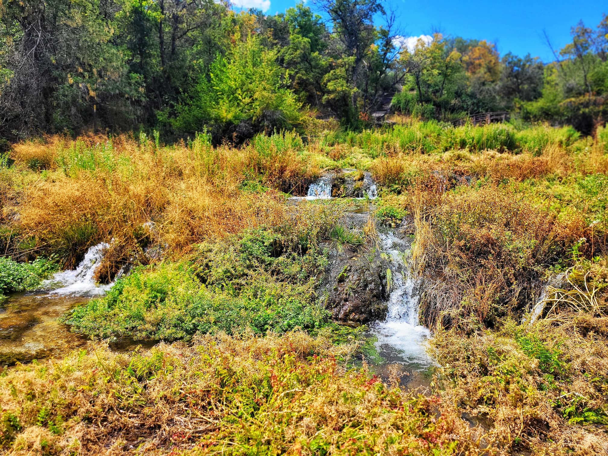 photo of cascade springs