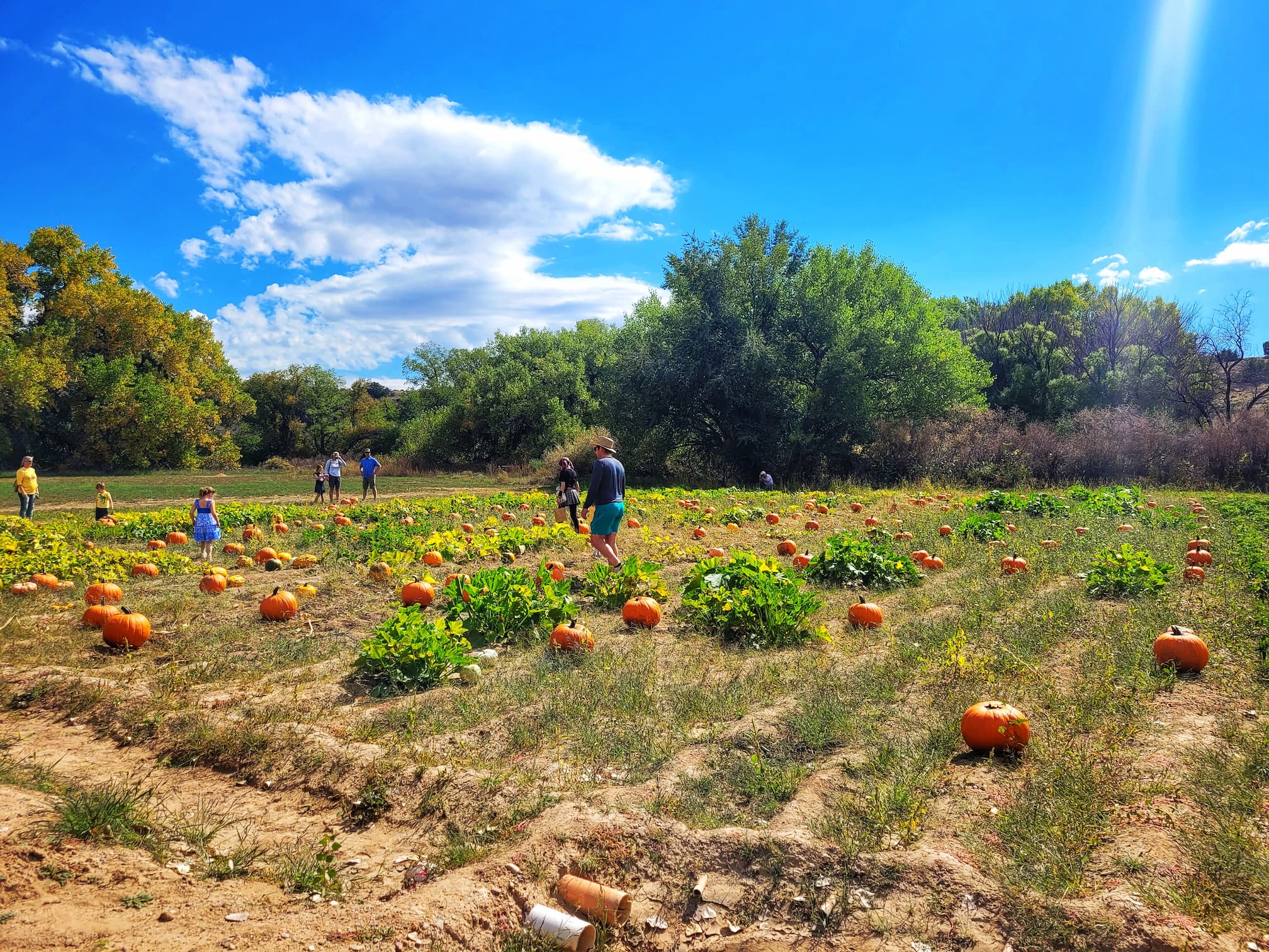 photo of El Rancho de las Golondrinas