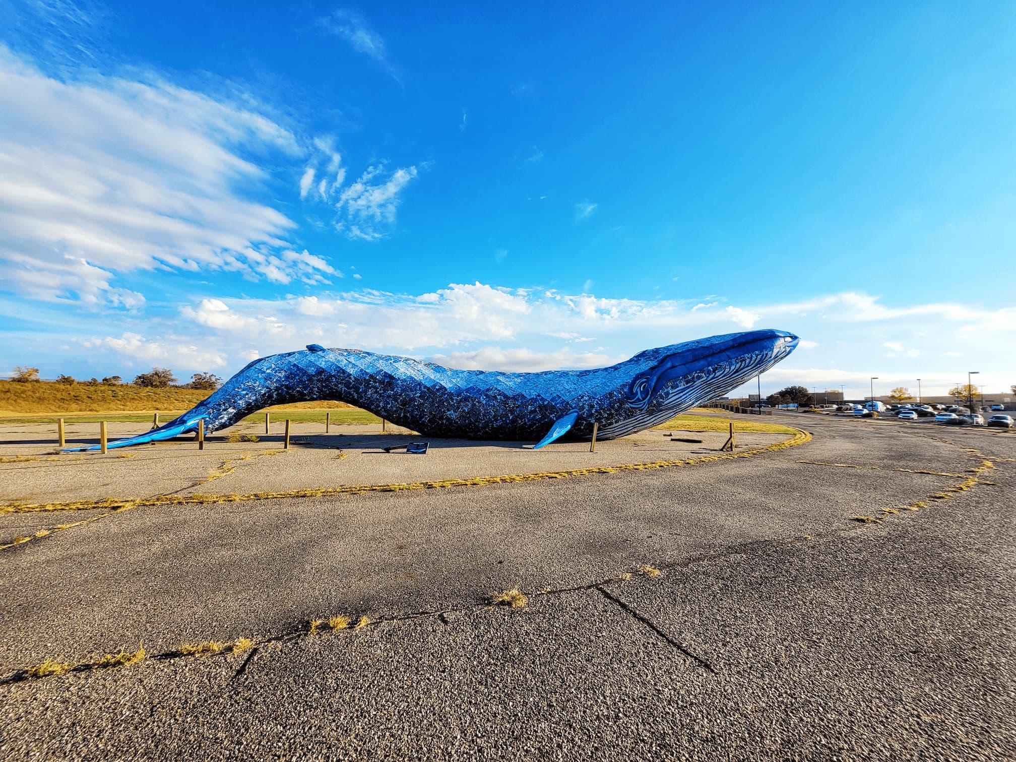 photo of ethyl the whale sculpture