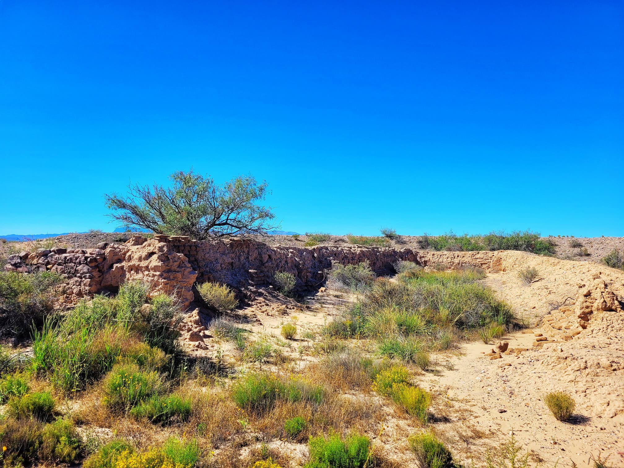 photo of fort craig historic site