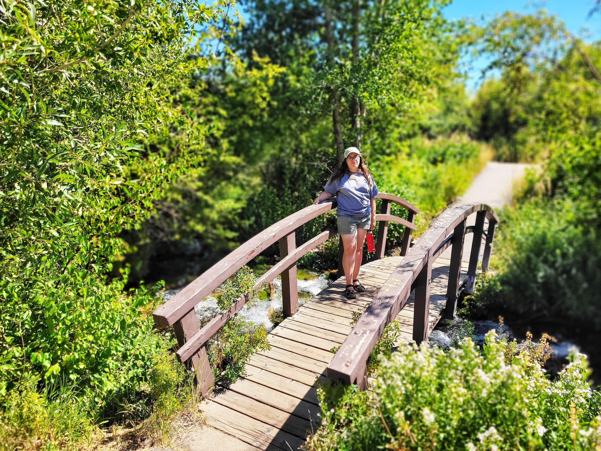 photo of cascade springs