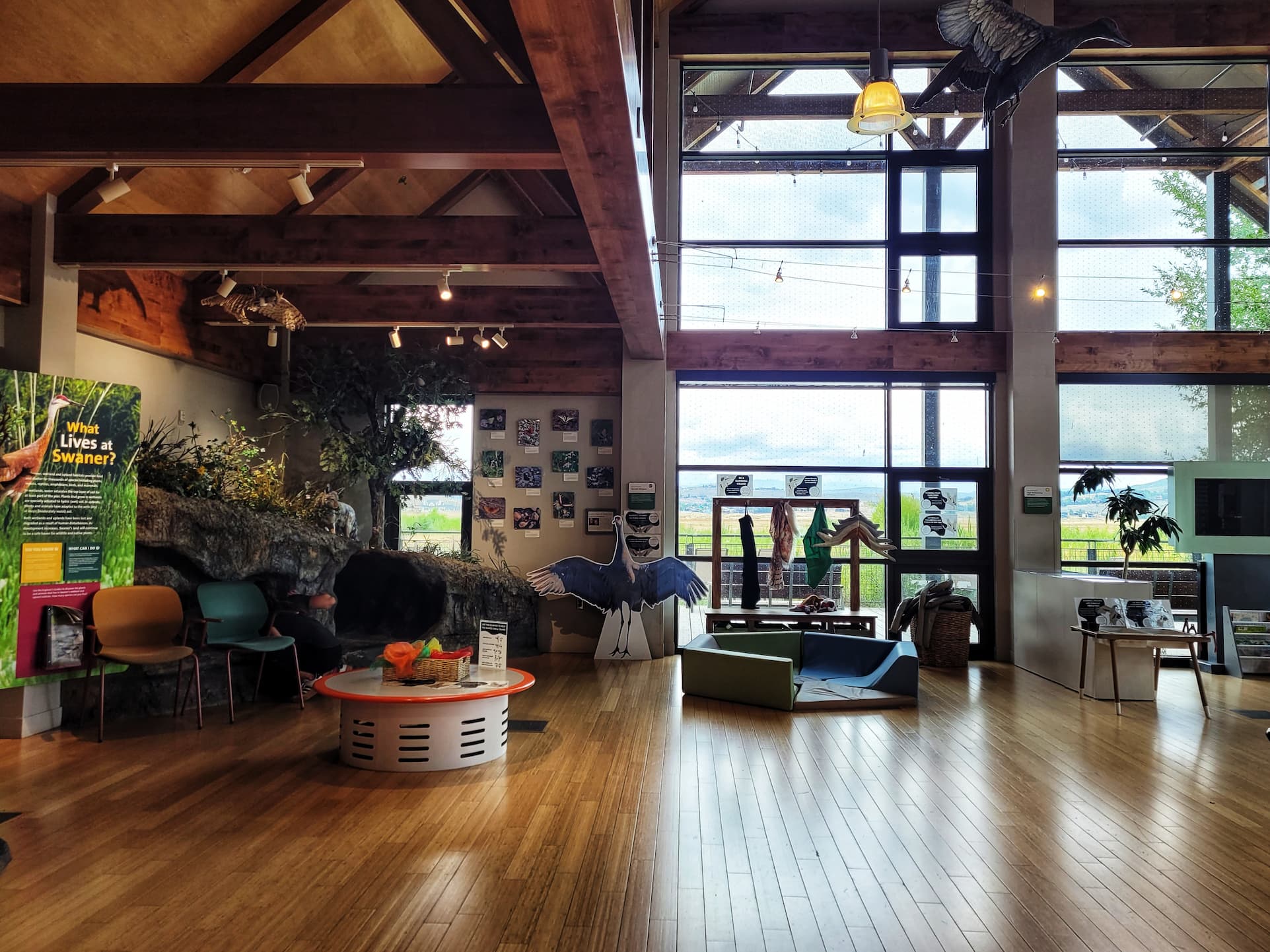 photo of swaner preserve ecocenter