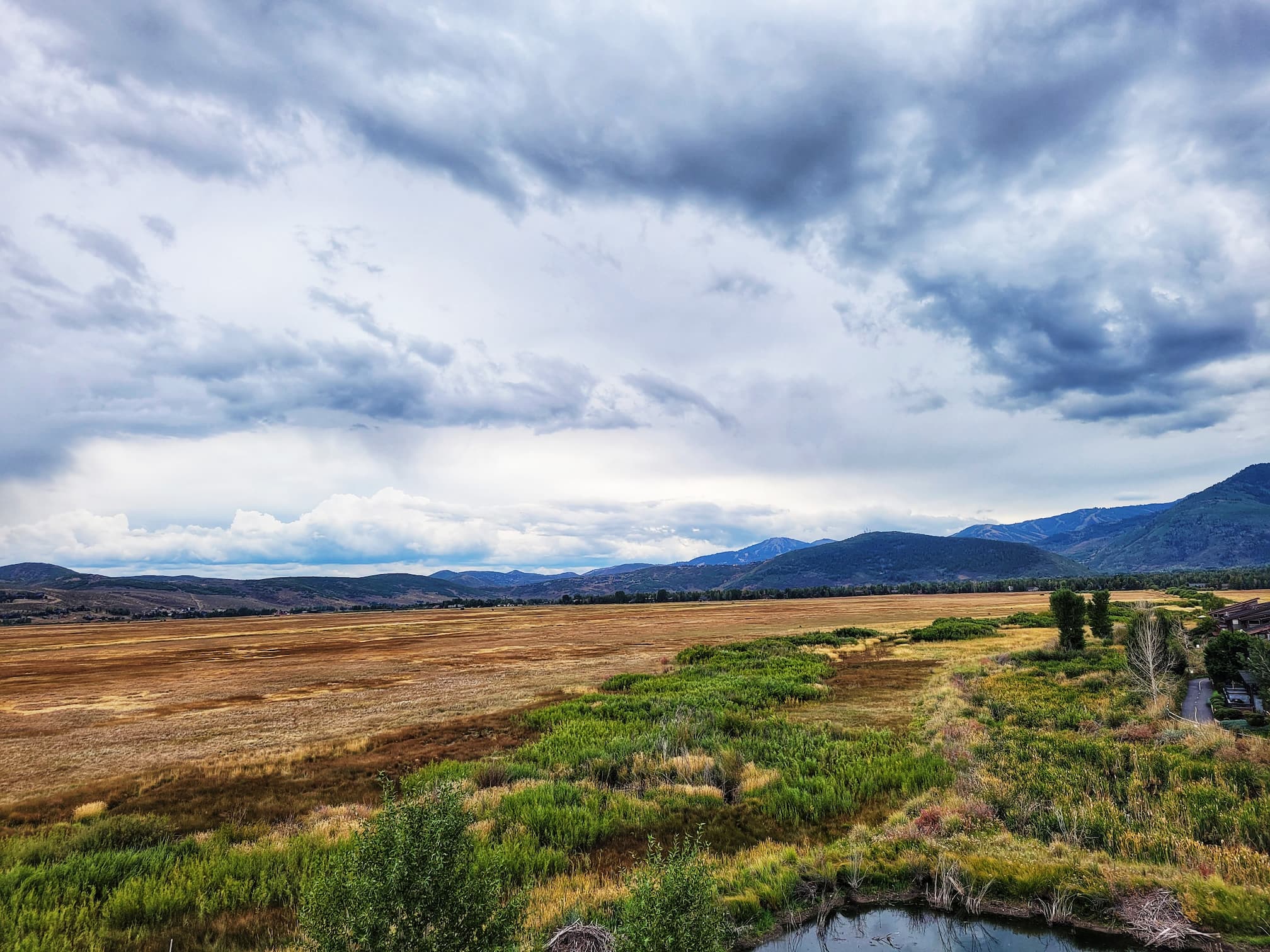 photo of swaner preserve